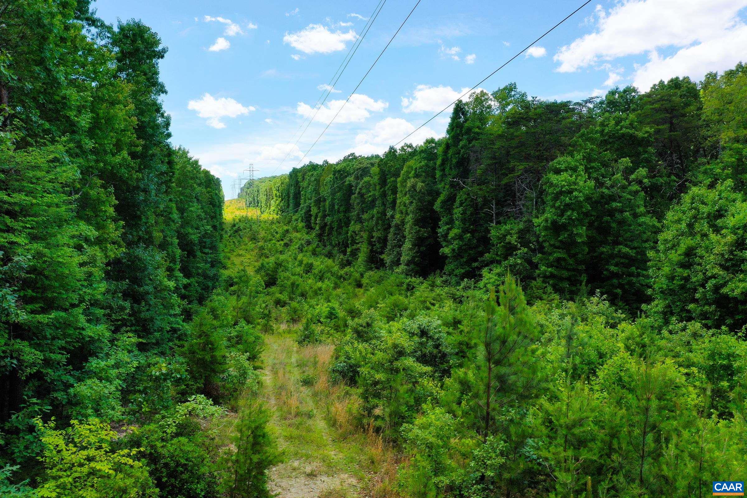 0 MT ALTO RD, ESMONT, Virginia 22937, ,Land,0 MT ALTO RD,678787 MLS # 678787