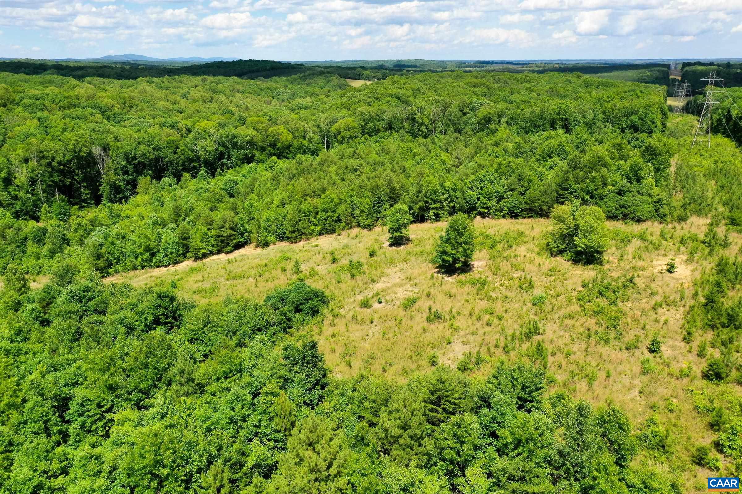 0 MT ALTO RD, ESMONT, Virginia 22937, ,Land,0 MT ALTO RD,678787 MLS # 678787