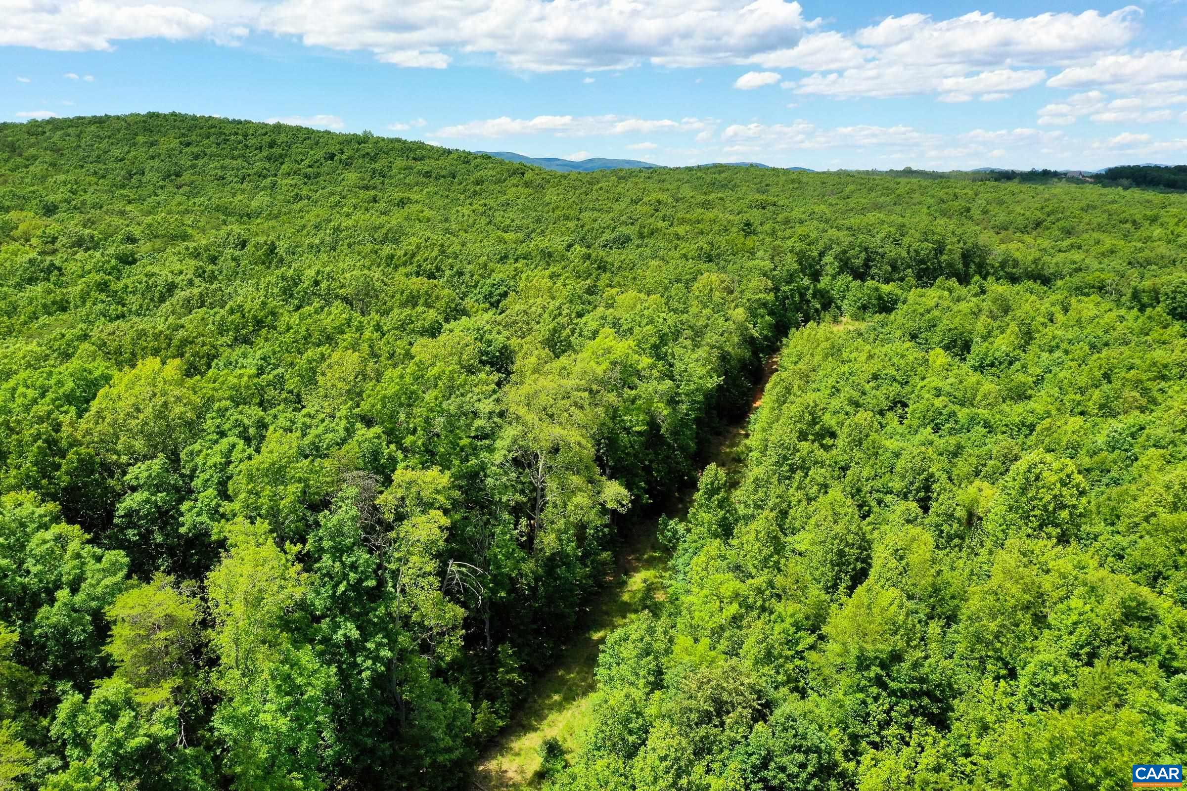 0 MT ALTO RD, ESMONT, Virginia 22937, ,Land,0 MT ALTO RD,678787 MLS # 678787