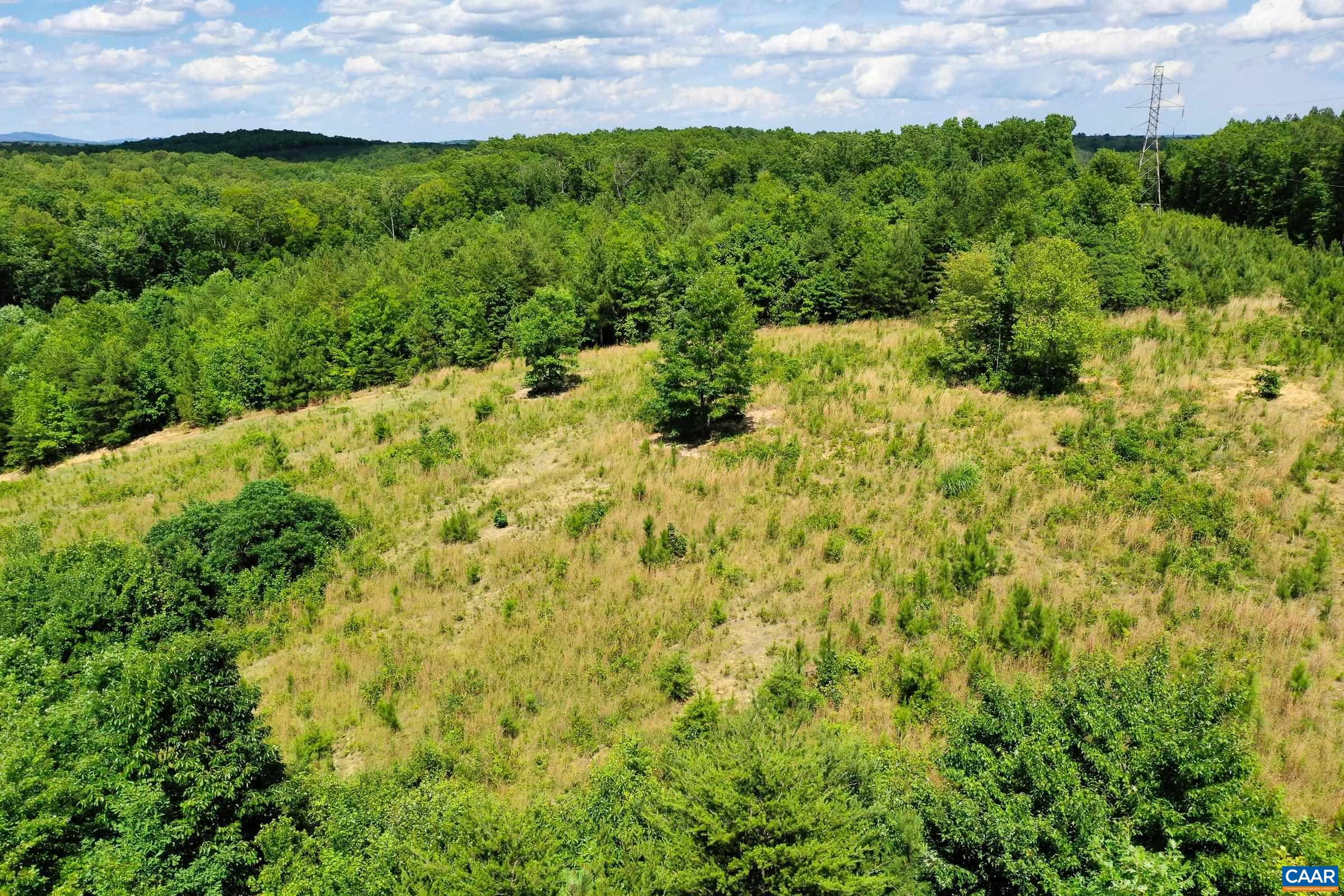 0 MT ALTO RD, ESMONT, Virginia 22937, ,Land,0 MT ALTO RD,678787 MLS # 678787