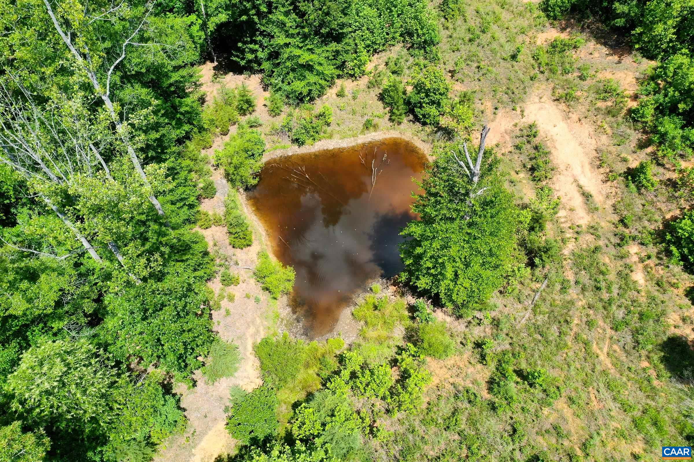 0 MT ALTO RD, ESMONT, Virginia 22937, ,Land,0 MT ALTO RD,678787 MLS # 678787
