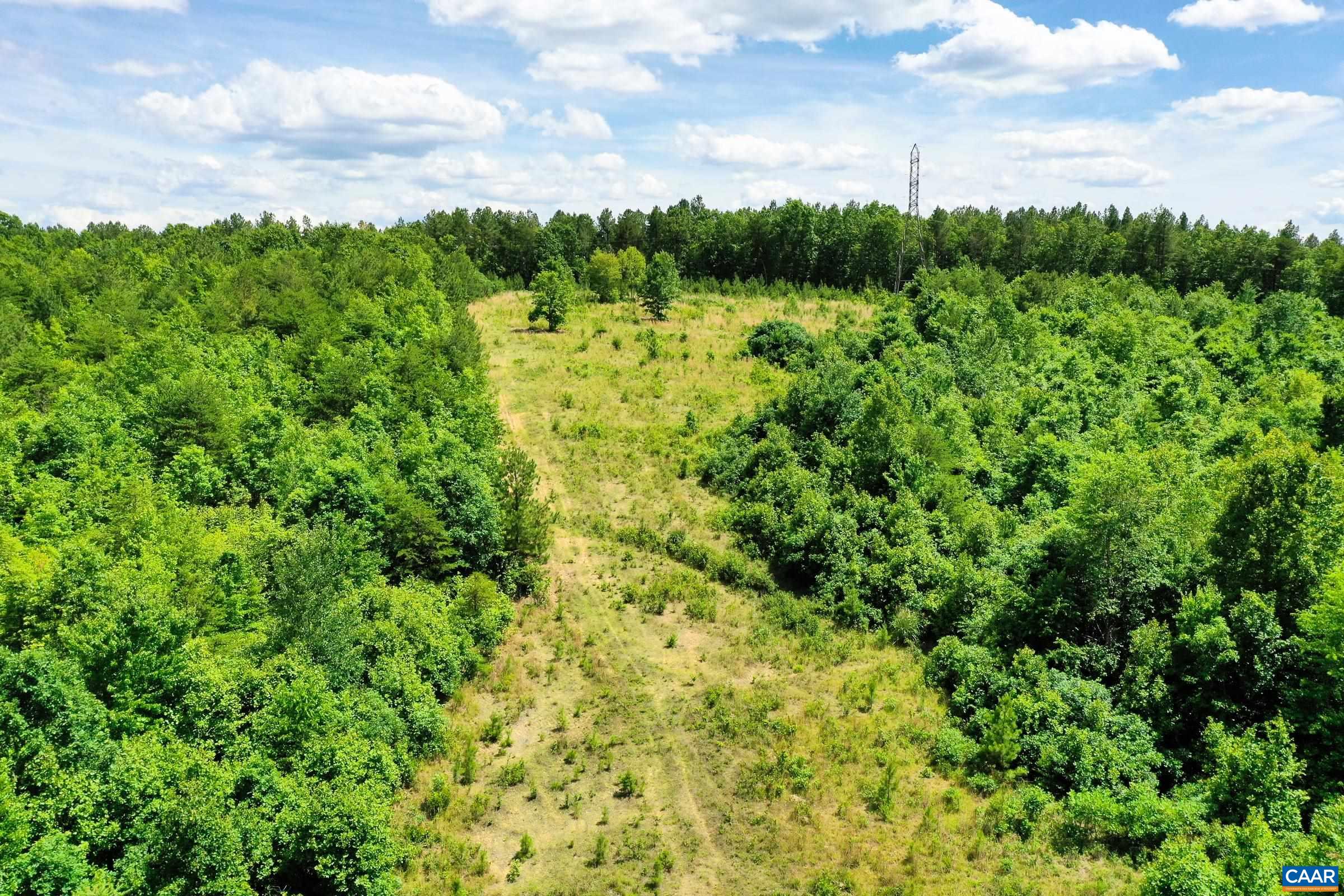 0 MT ALTO RD, ESMONT, Virginia 22937, ,Land,0 MT ALTO RD,678787 MLS # 678787