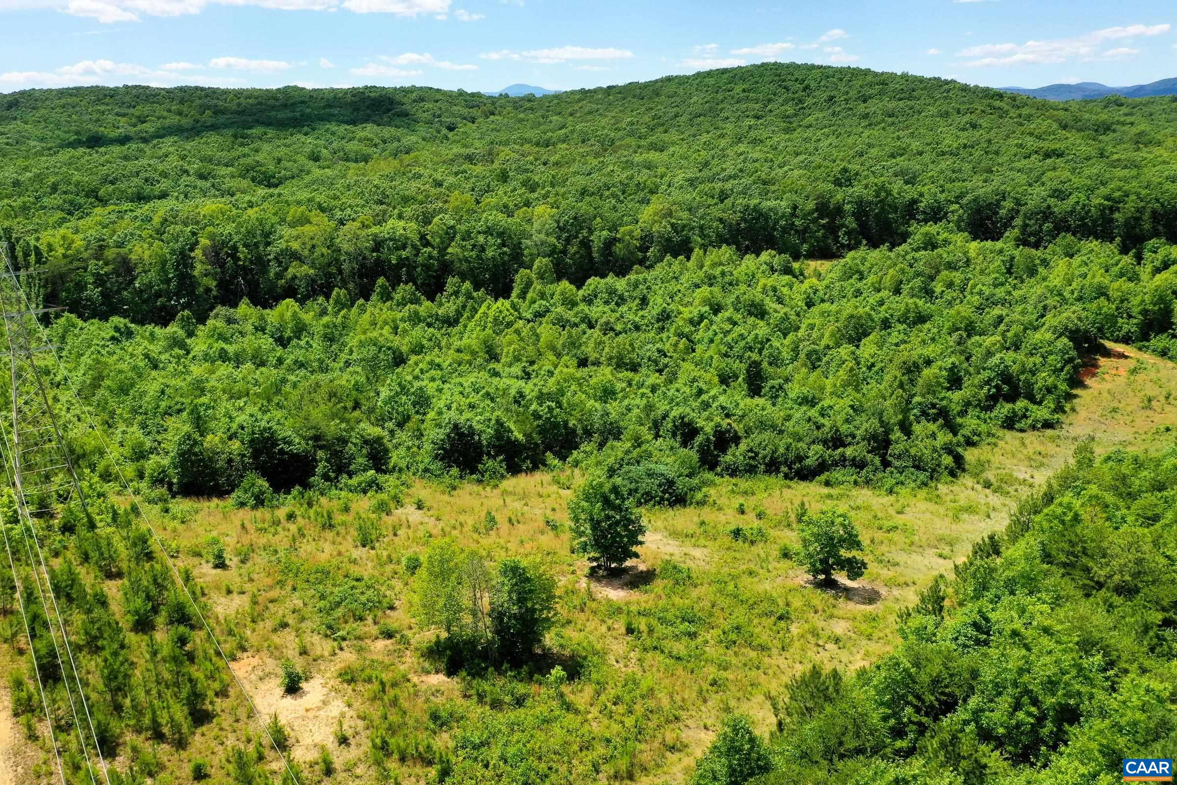 0 MT ALTO RD, ESMONT, Virginia 22937, ,Land,0 MT ALTO RD,678787 MLS # 678787