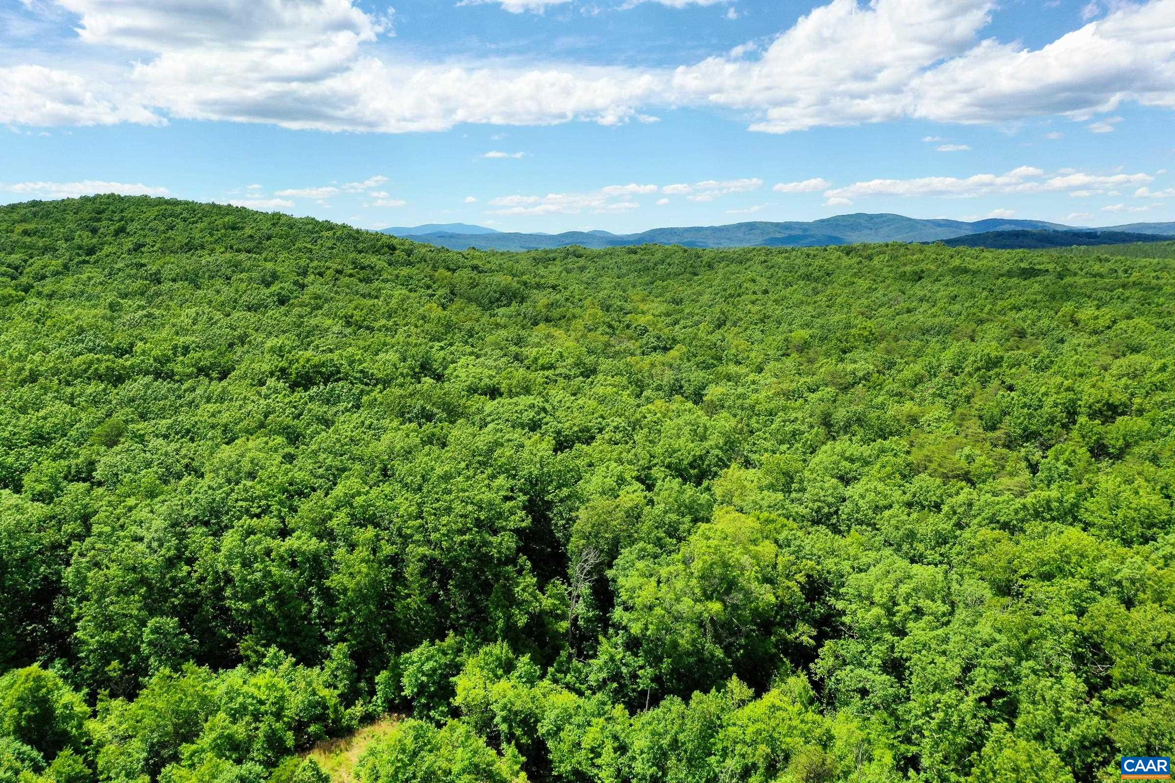 0 MT ALTO RD, ESMONT, Virginia 22937, ,Land,0 MT ALTO RD,678787 MLS # 678787