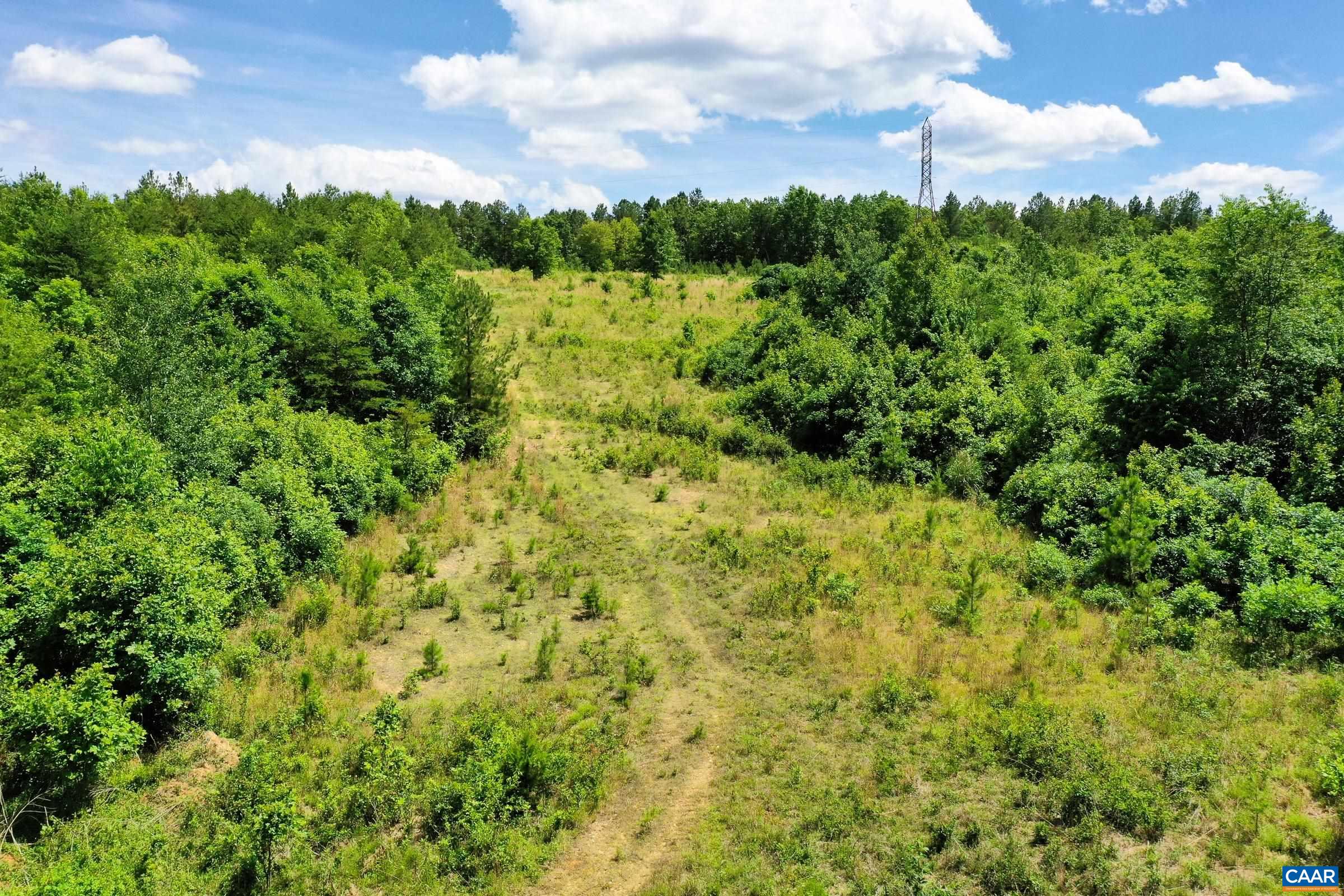 0 MT ALTO RD, ESMONT, Virginia 22937, ,Land,0 MT ALTO RD,678787 MLS # 678787