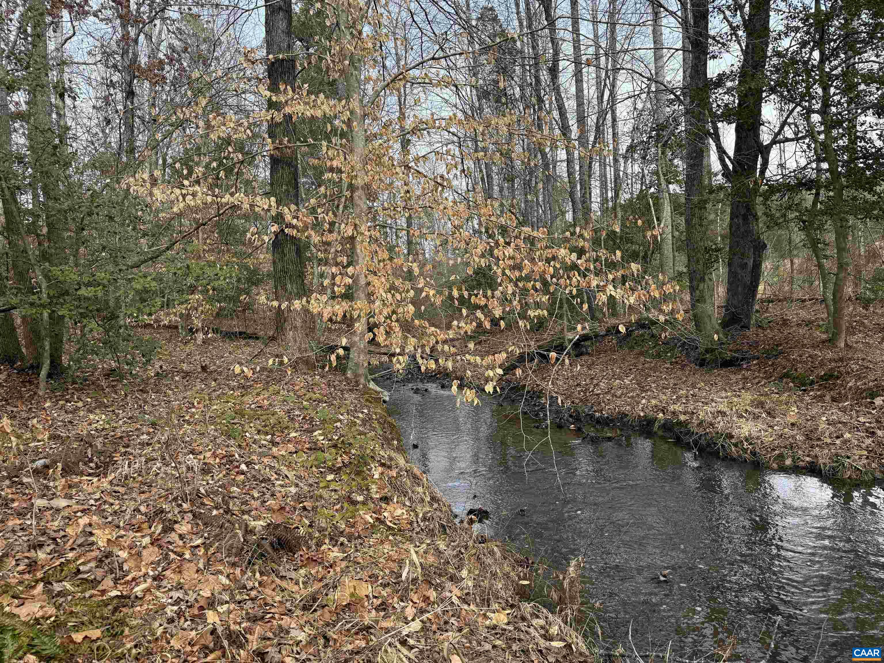 TBD COMMUNITY HOUSE RD, KENTS STORE, Virginia 23084, ,Land,TBD COMMUNITY HOUSE RD,678790 MLS # 678790