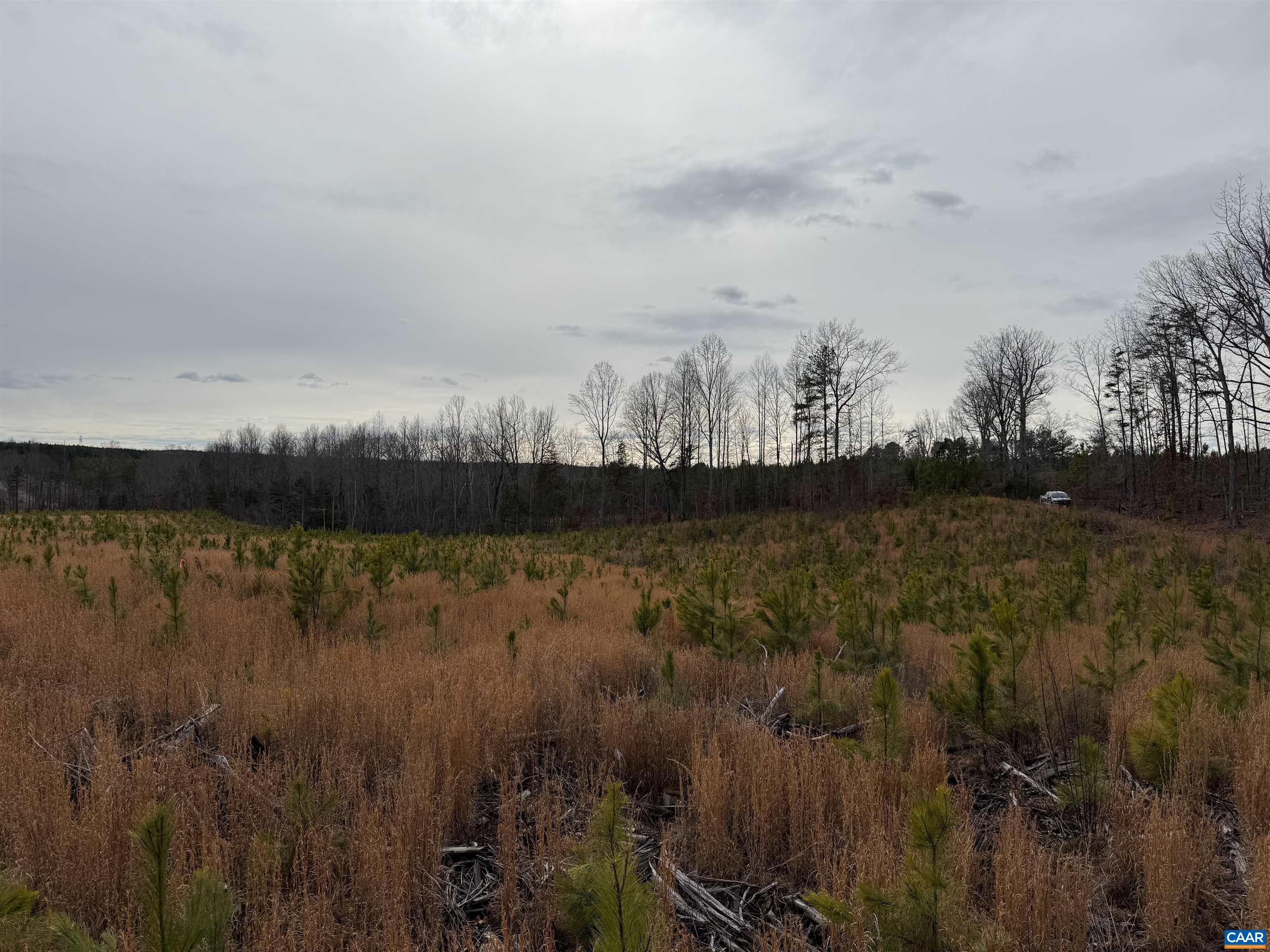 TBD COMMUNITY HOUSE RD, KENTS STORE, Virginia 23084, ,Land,TBD COMMUNITY HOUSE RD,678790 MLS # 678790