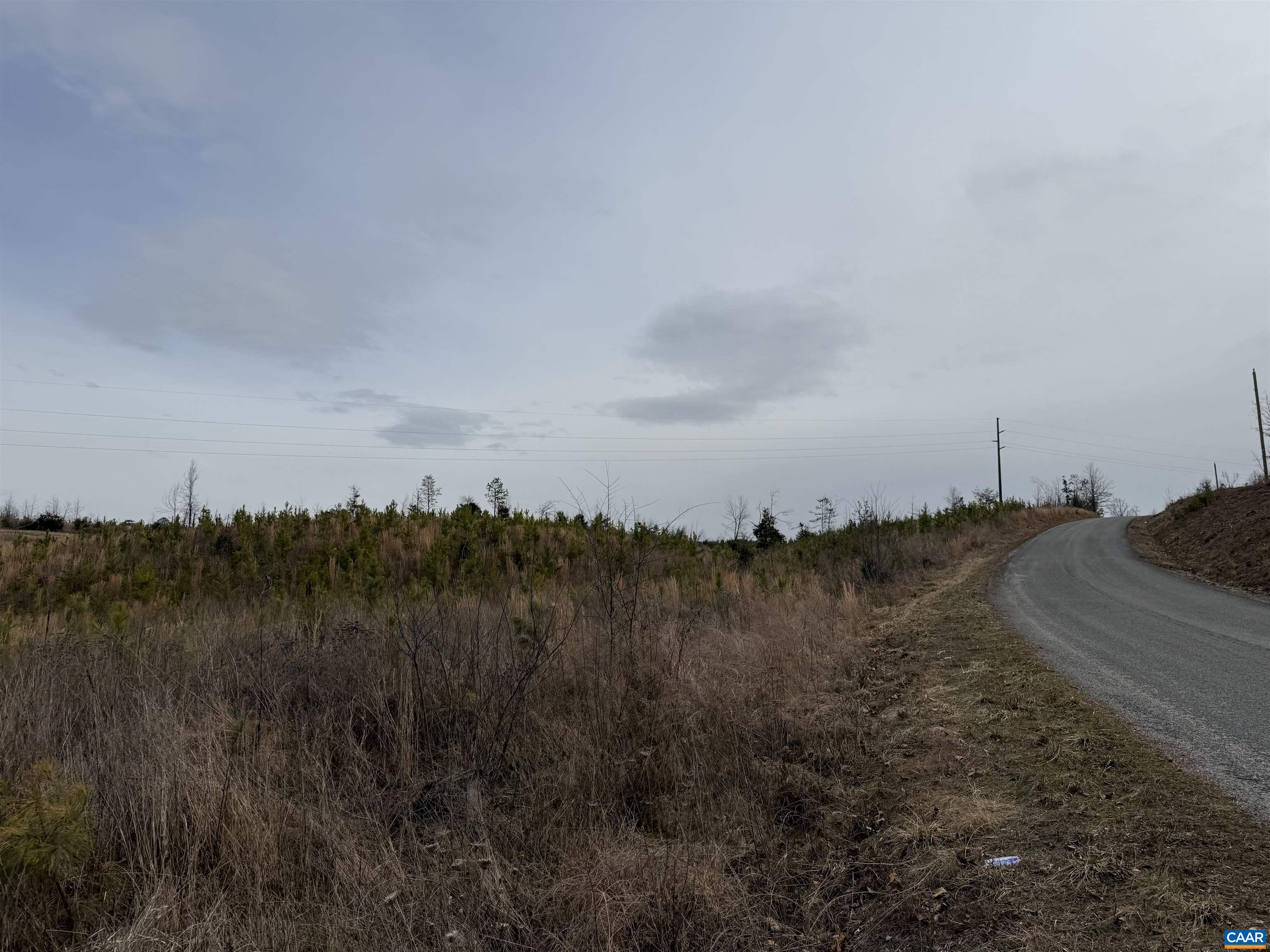 TBD COMMUNITY HOUSE RD, KENTS STORE, Virginia 23084, ,Land,TBD COMMUNITY HOUSE RD,678790 MLS # 678790