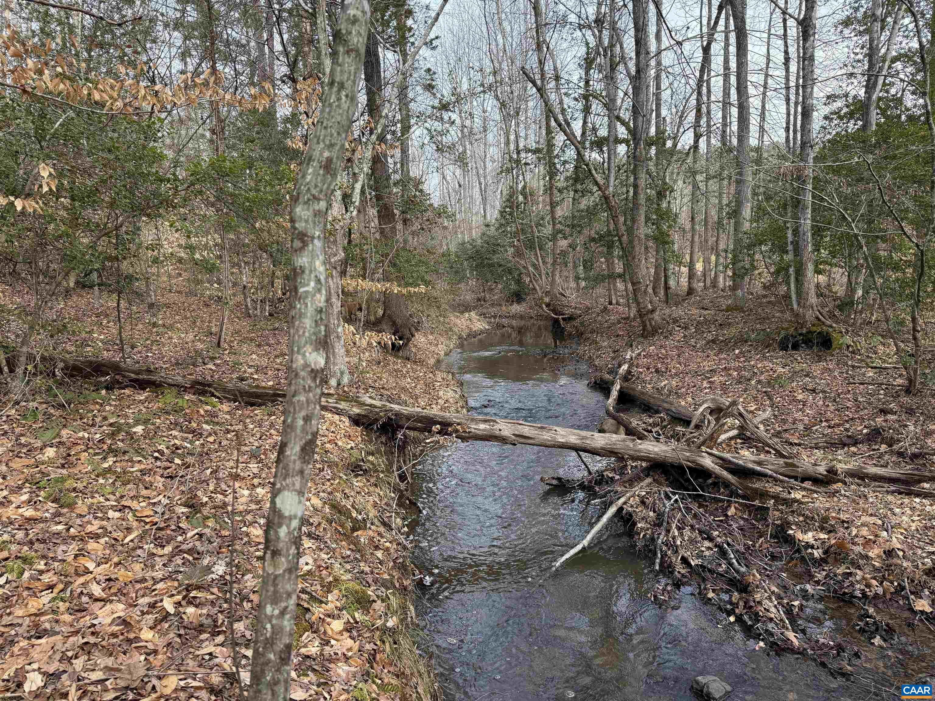 TBD COMMUNITY HOUSE RD, KENTS STORE, Virginia 23084, ,Land,TBD COMMUNITY HOUSE RD,678790 MLS # 678790