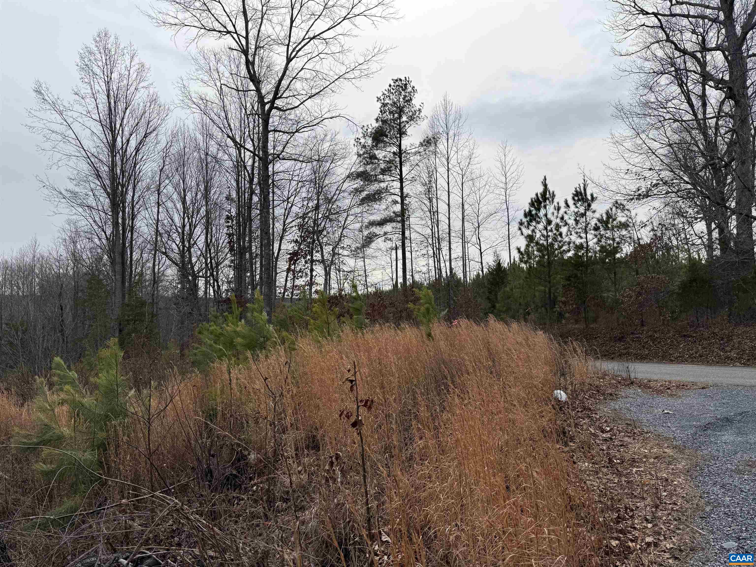 TBD COMMUNITY HOUSE RD, KENTS STORE, Virginia 23084, ,Land,TBD COMMUNITY HOUSE RD,678790 MLS # 678790
