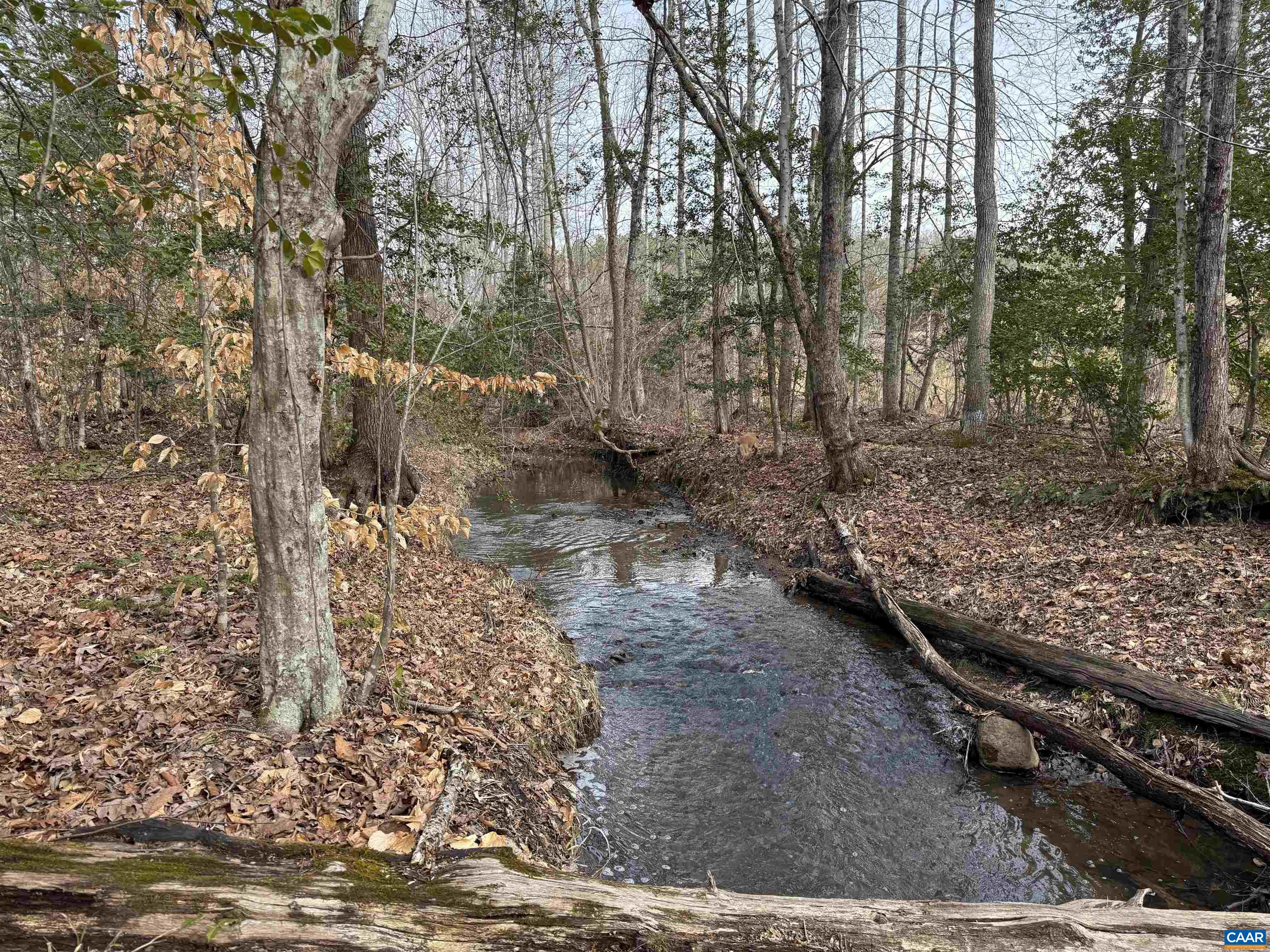 TBD COMMUNITY HOUSE RD, KENTS STORE, Virginia 23084, ,Land,TBD COMMUNITY HOUSE RD,678790 MLS # 678790