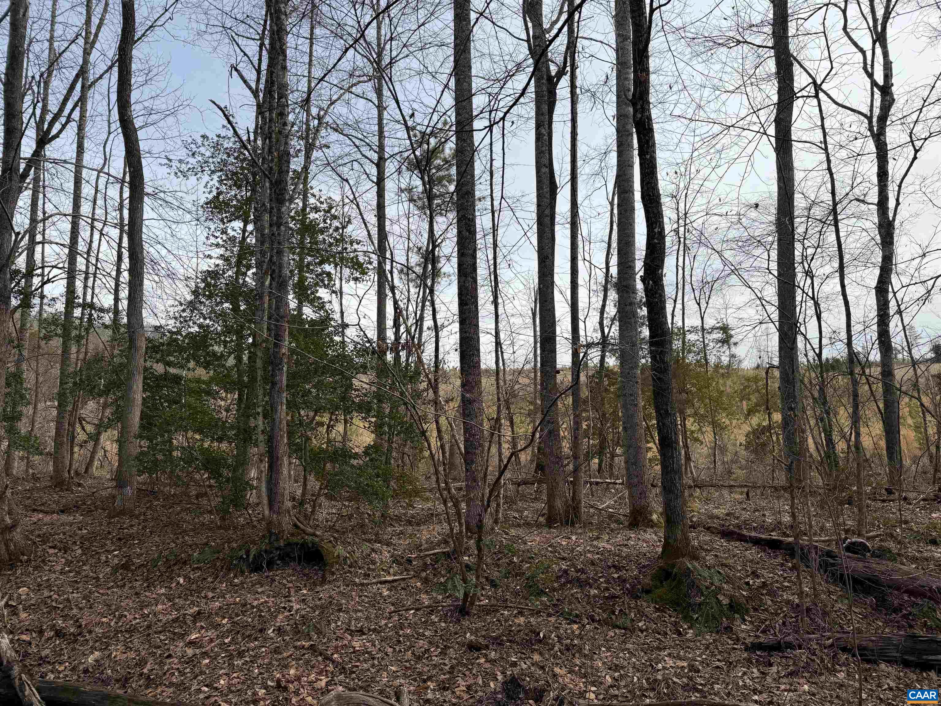 TBD COMMUNITY HOUSE RD, KENTS STORE, Virginia 23084, ,Land,TBD COMMUNITY HOUSE RD,678790 MLS # 678790