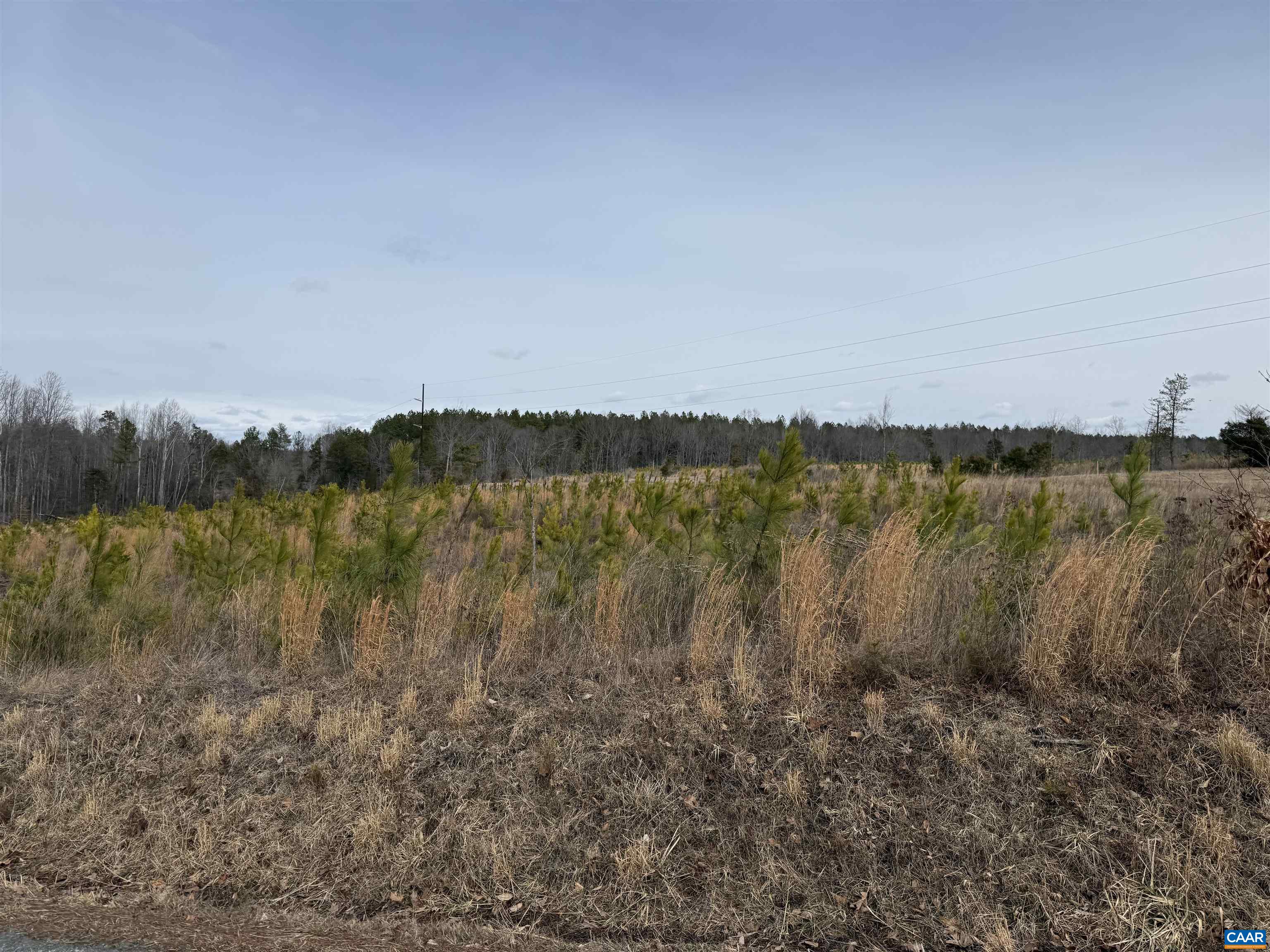 TBD COMMUNITY HOUSE RD, KENTS STORE, Virginia 23084, ,Land,TBD COMMUNITY HOUSE RD,678790 MLS # 678790