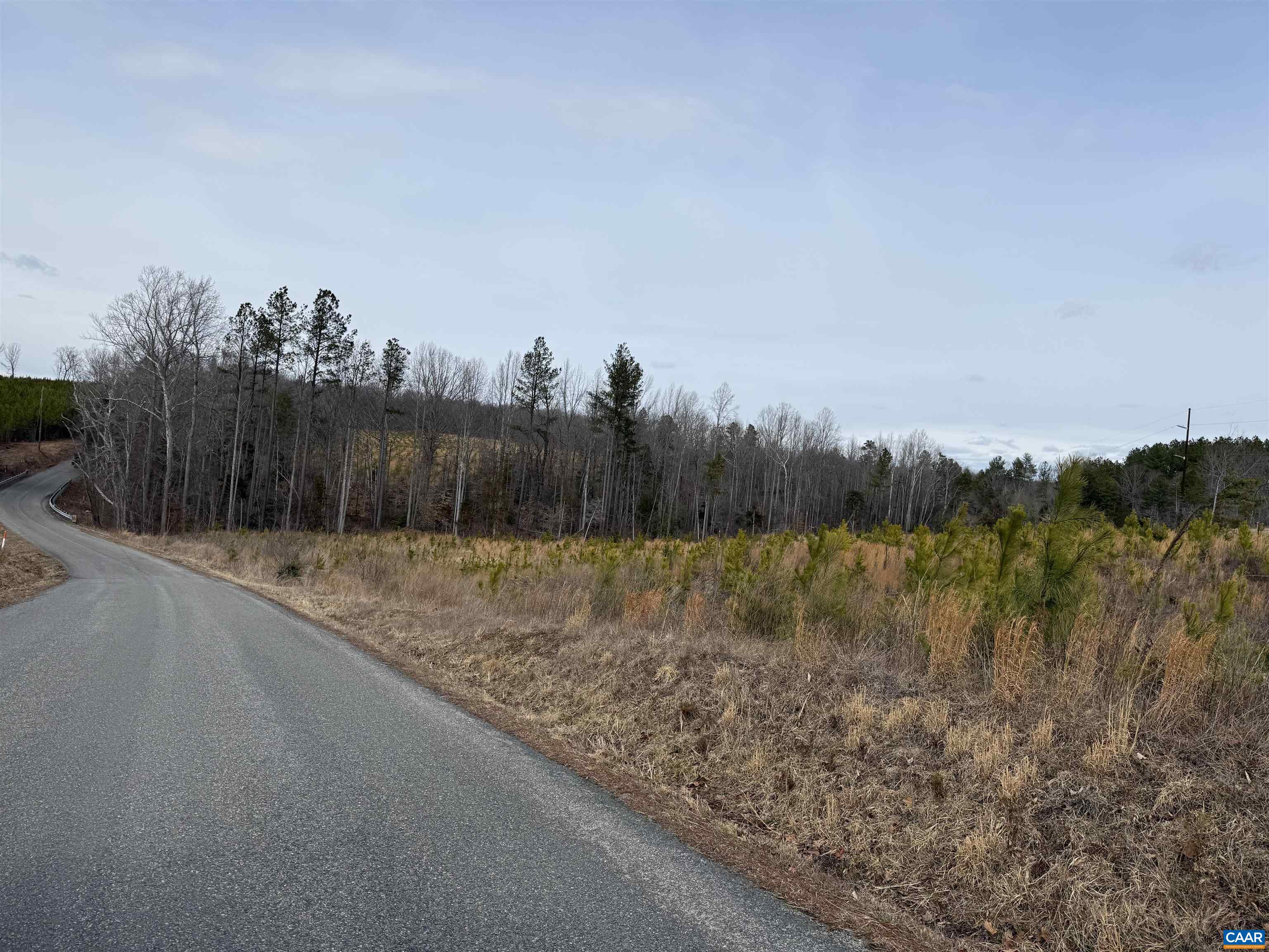 TBD COMMUNITY HOUSE RD, KENTS STORE, Virginia 23084, ,Land,TBD COMMUNITY HOUSE RD,678790 MLS # 678790