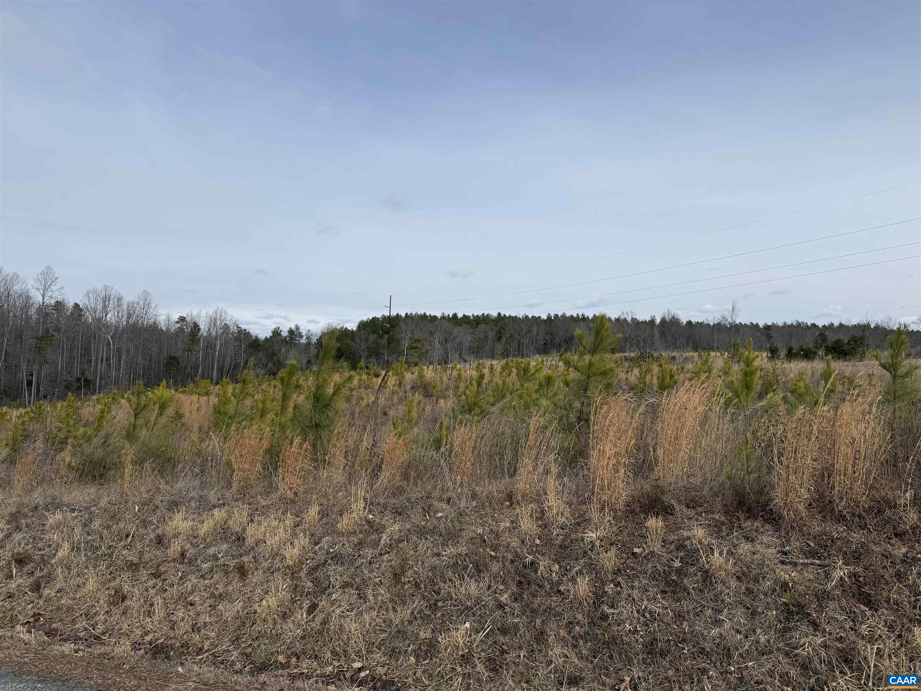 TBD COMMUNITY HOUSE RD, KENTS STORE, Virginia 23084, ,Land,TBD COMMUNITY HOUSE RD,678790 MLS # 678790