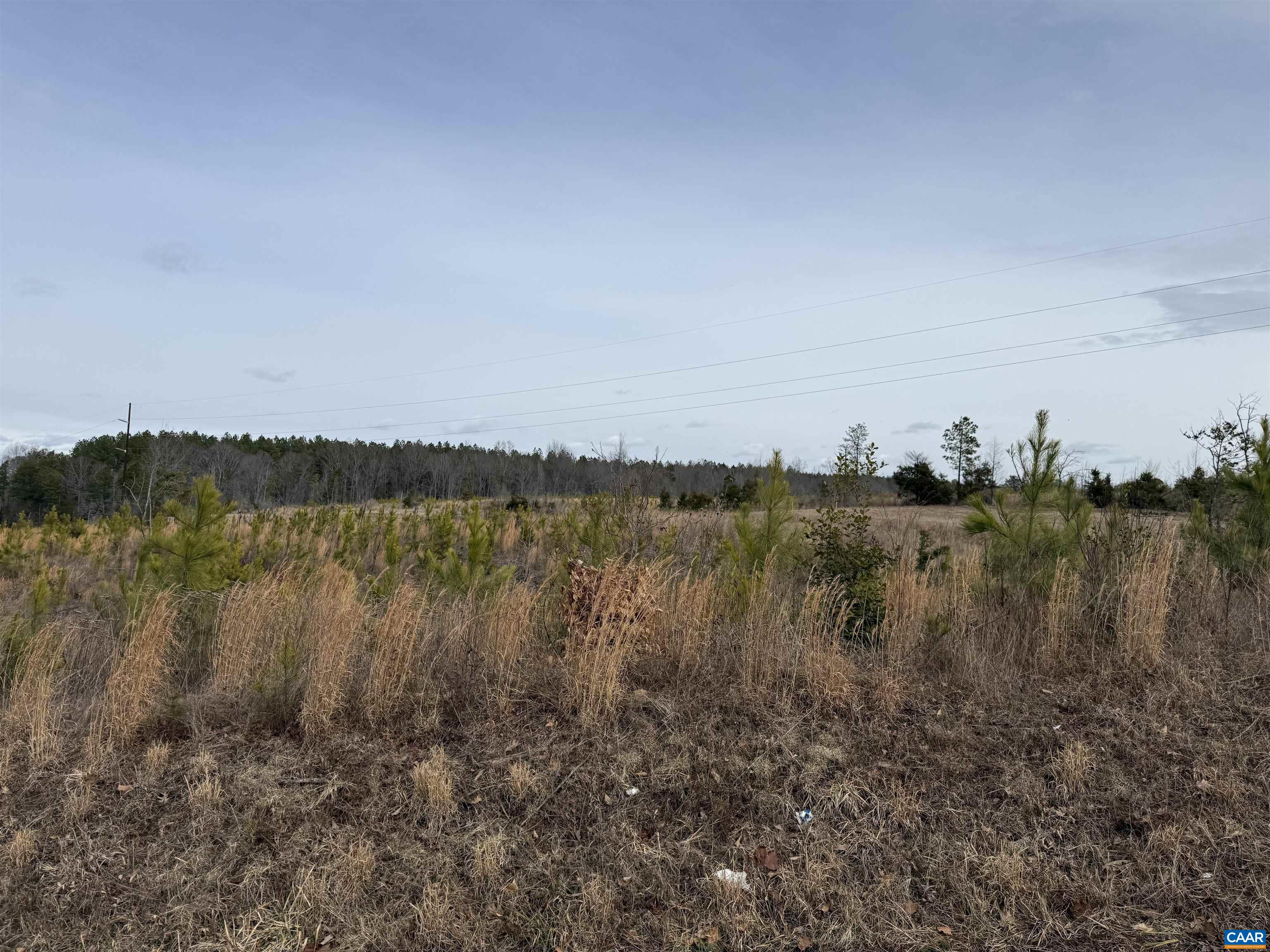 TBD COMMUNITY HOUSE RD, KENTS STORE, Virginia 23084, ,Land,TBD COMMUNITY HOUSE RD,678790 MLS # 678790