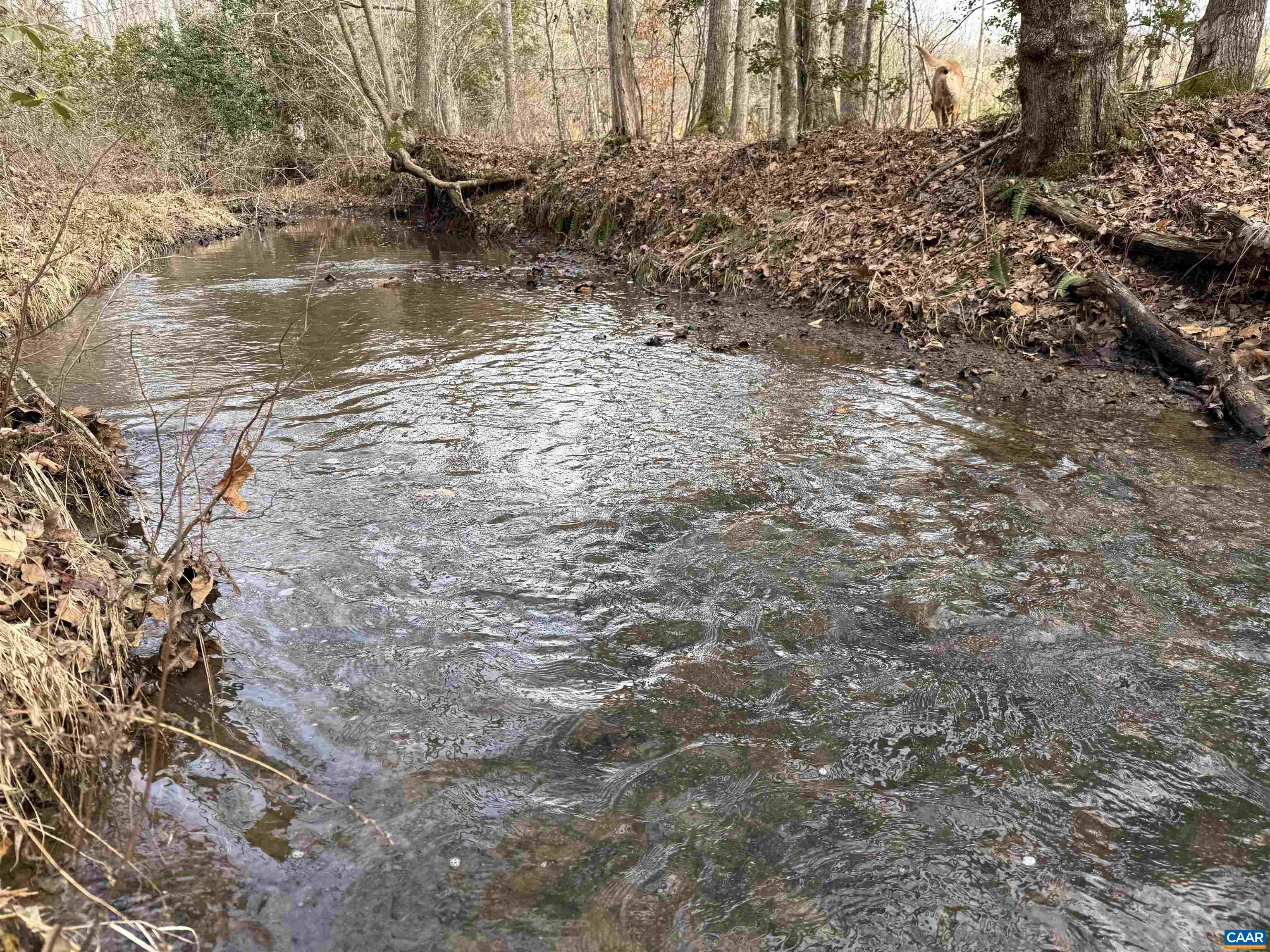 TBD COMMUNITY HOUSE RD, KENTS STORE, Virginia 23084, ,Land,TBD COMMUNITY HOUSE RD,678790 MLS # 678790