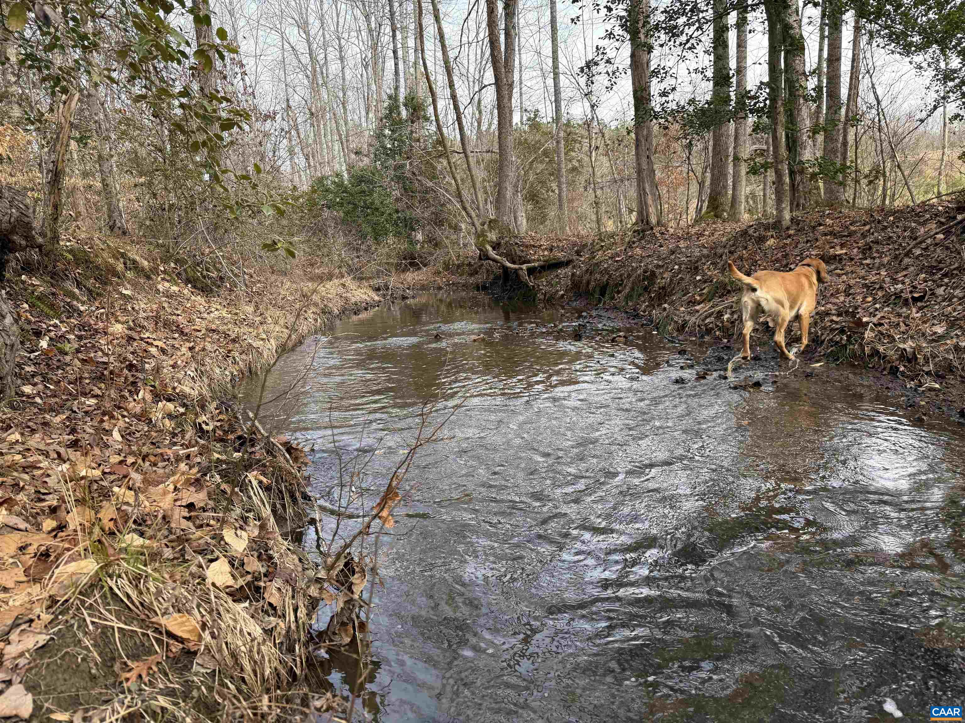 TBD COMMUNITY HOUSE RD, KENTS STORE, Virginia 23084, ,Land,TBD COMMUNITY HOUSE RD,678790 MLS # 678790