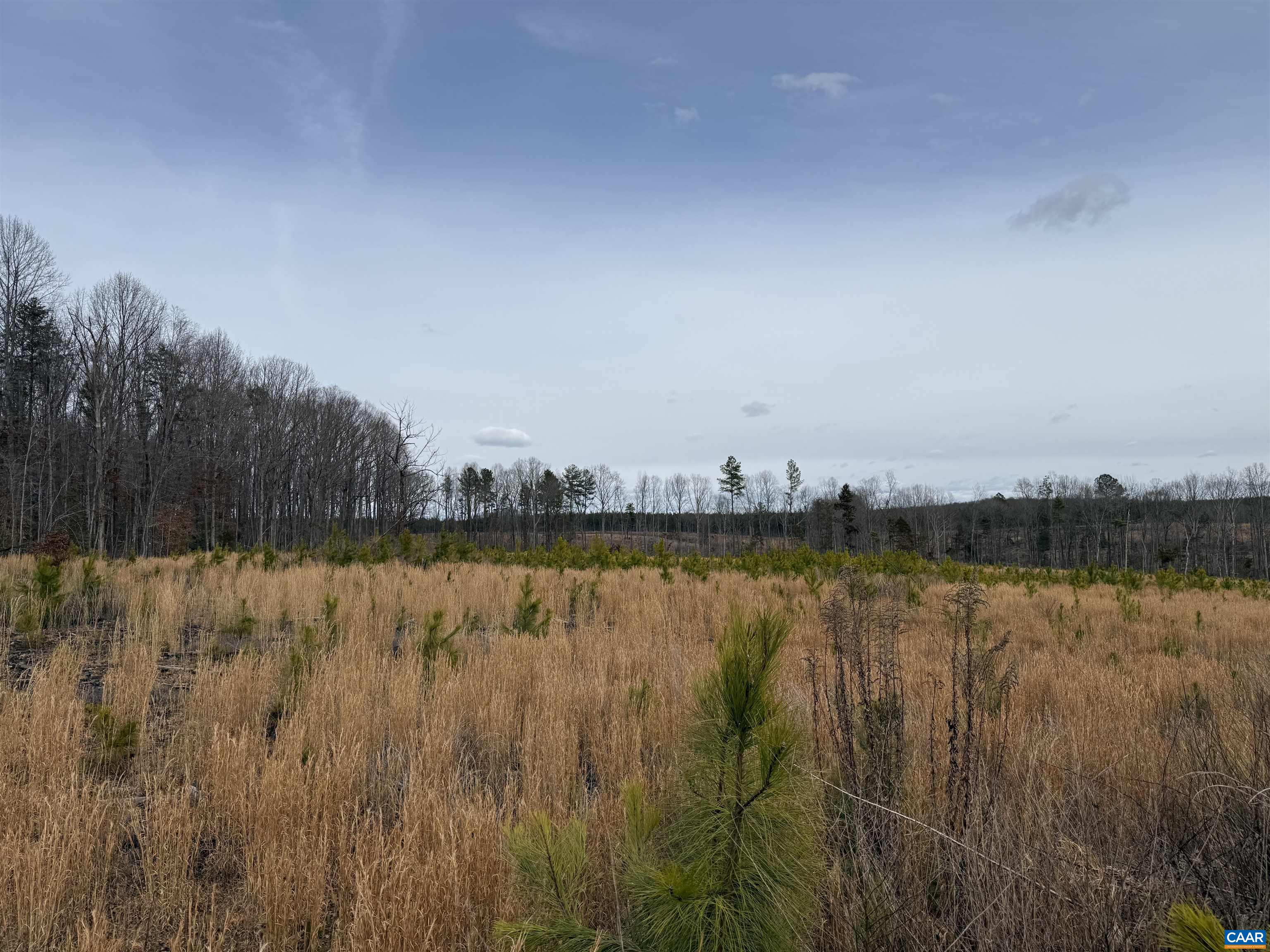 TBD COMMUNITY HOUSE RD, KENTS STORE, Virginia 23084, ,Land,TBD COMMUNITY HOUSE RD,678790 MLS # 678790