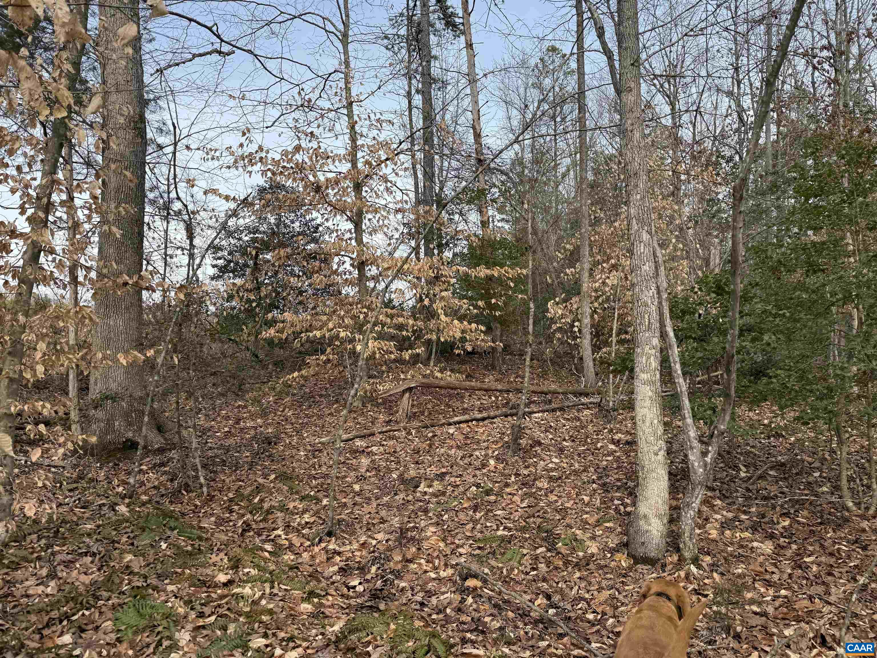 TBD COMMUNITY HOUSE RD, KENTS STORE, Virginia 23084, ,Land,TBD COMMUNITY HOUSE RD,678790 MLS # 678790