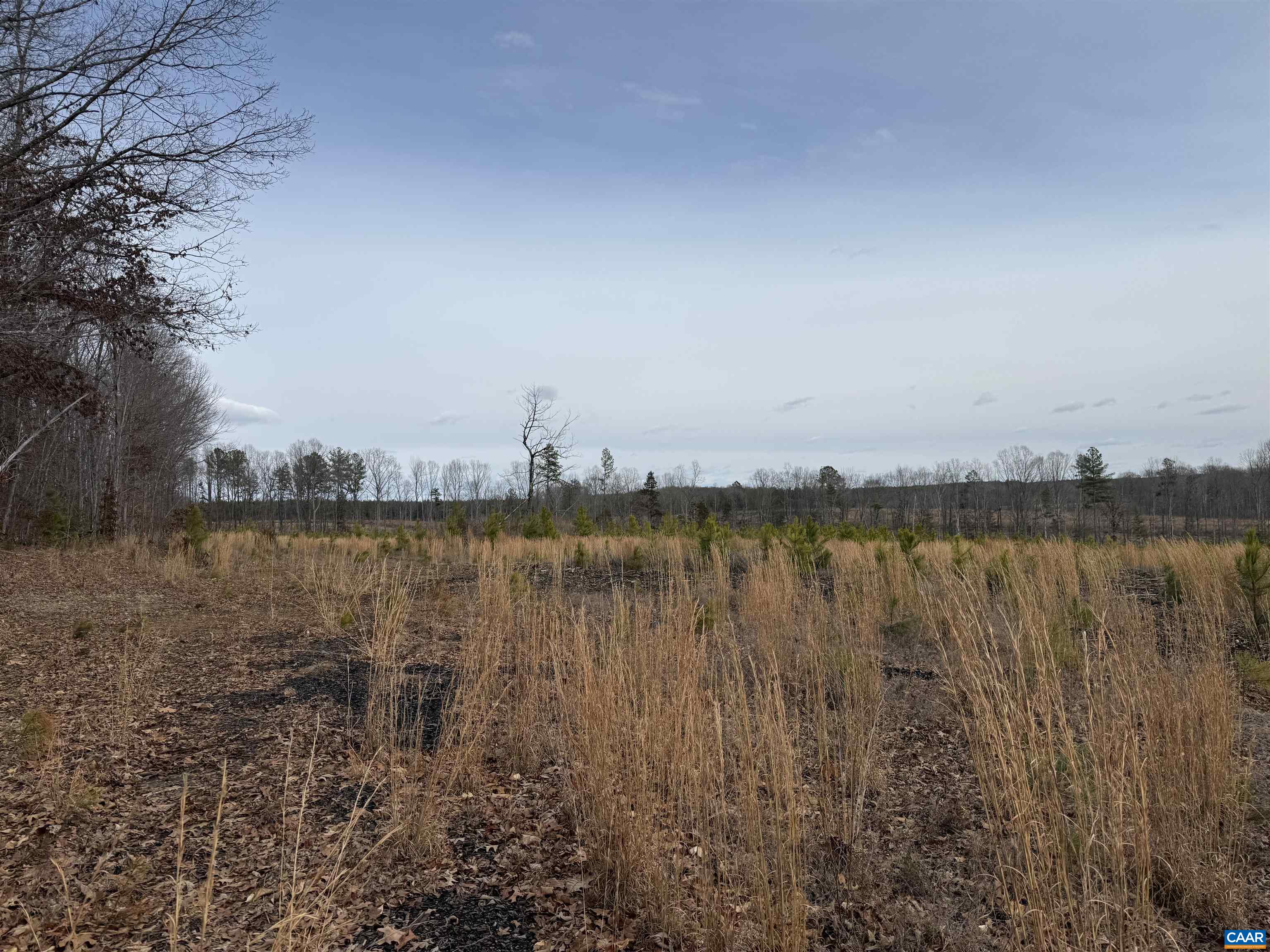 TBD COMMUNITY HOUSE RD, KENTS STORE, Virginia 23084, ,Land,TBD COMMUNITY HOUSE RD,678790 MLS # 678790