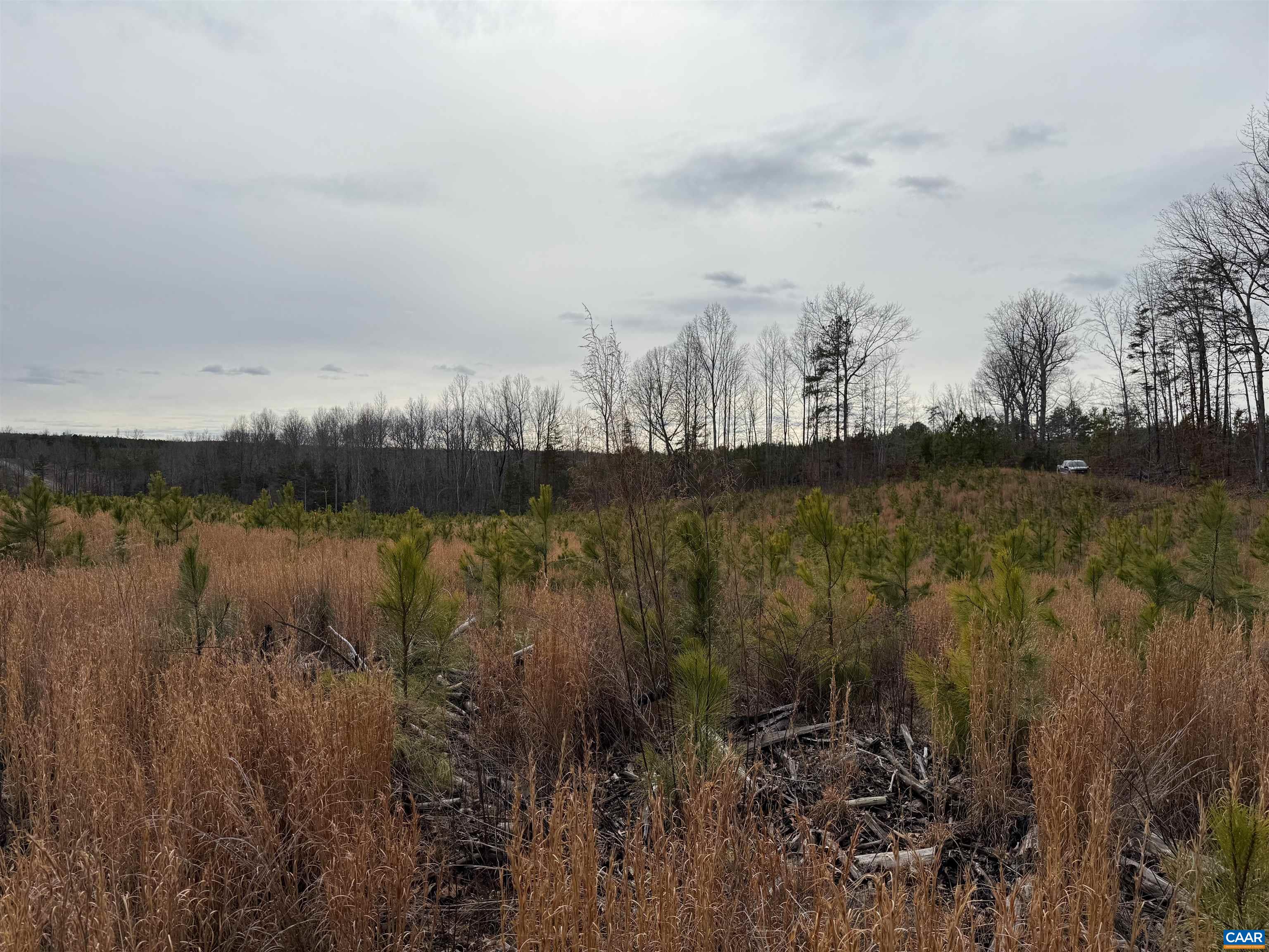TBD COMMUNITY HOUSE RD, KENTS STORE, Virginia 23084, ,Land,TBD COMMUNITY HOUSE RD,678790 MLS # 678790