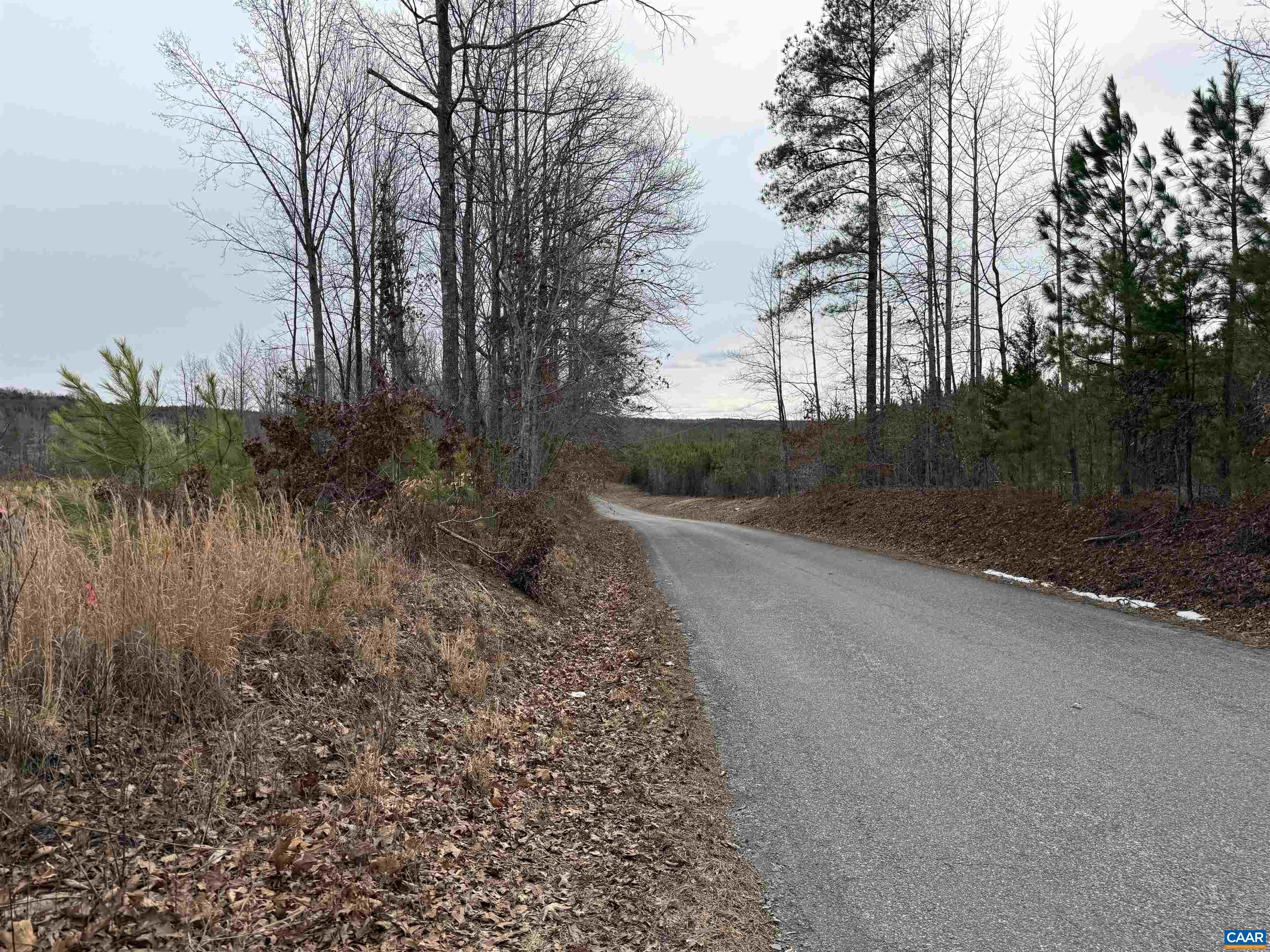 TBD COMMUNITY HOUSE RD, KENTS STORE, Virginia 23084, ,Land,TBD COMMUNITY HOUSE RD,678790 MLS # 678790
