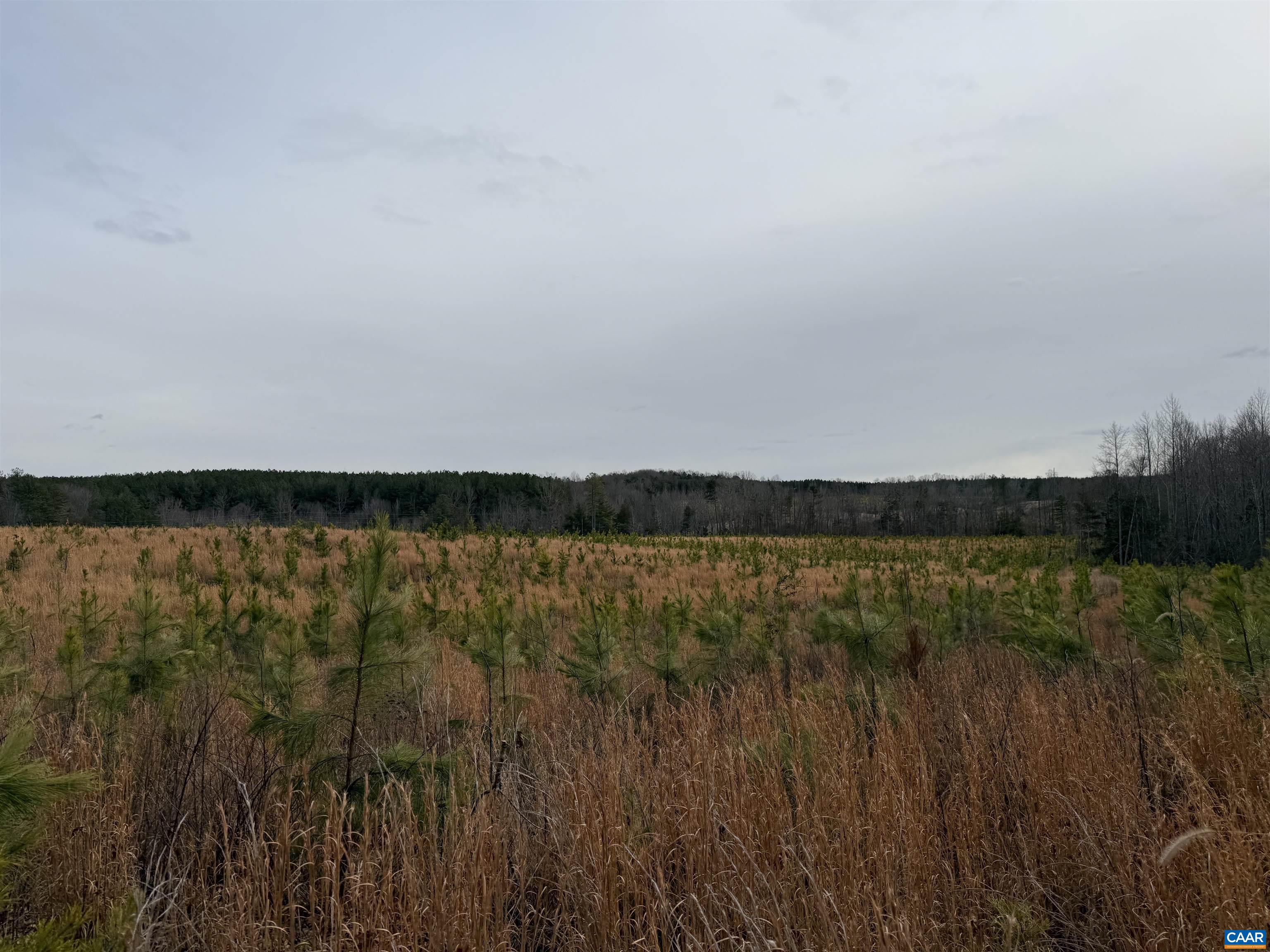 TBD COMMUNITY HOUSE RD, KENTS STORE, Virginia 23084, ,Land,TBD COMMUNITY HOUSE RD,678790 MLS # 678790