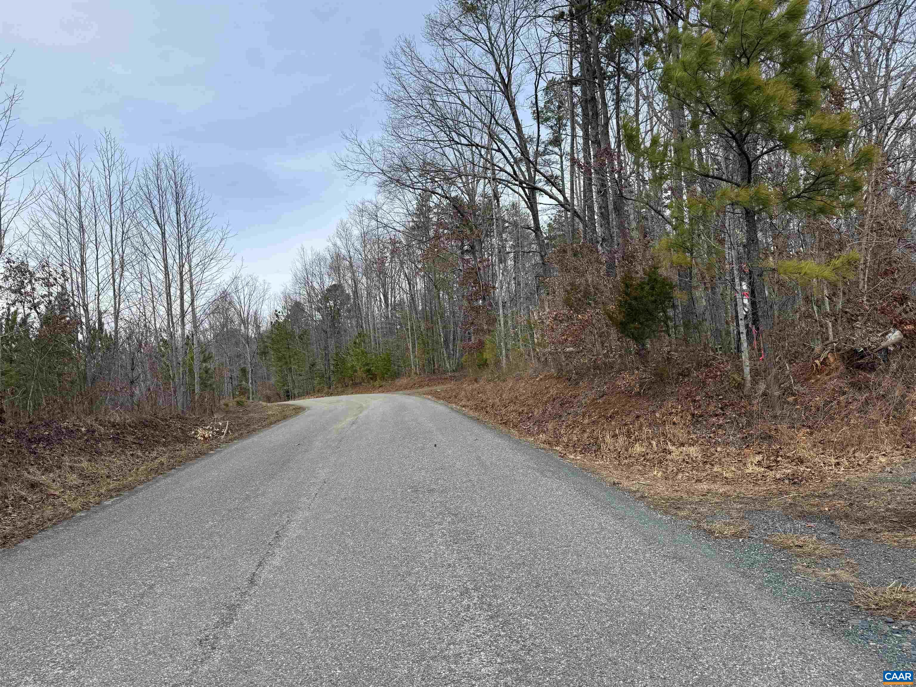TBD COMMUNITY HOUSE RD, KENTS STORE, Virginia 23084, ,Land,TBD COMMUNITY HOUSE RD,678790 MLS # 678790