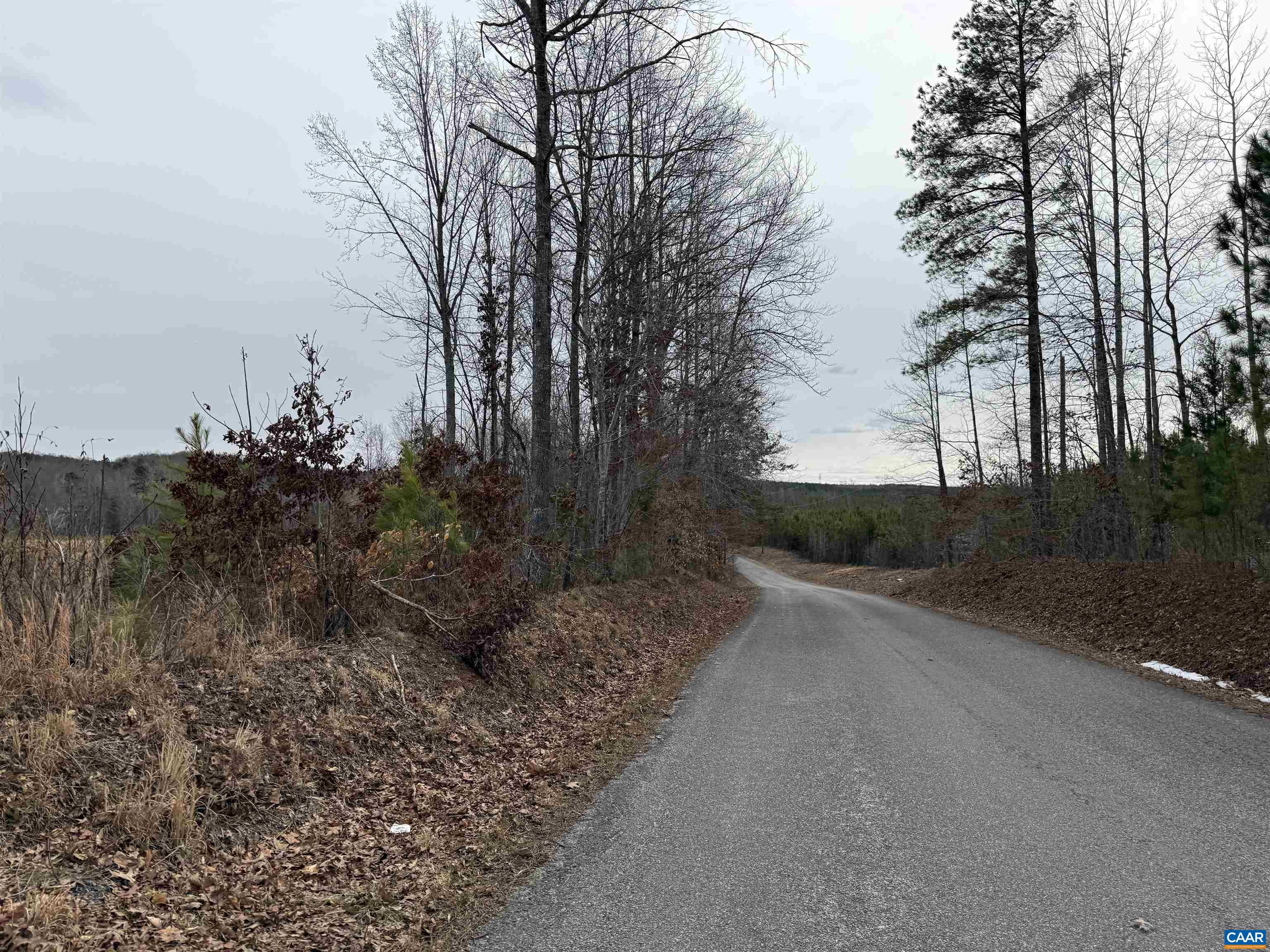 TBD COMMUNITY HOUSE RD, KENTS STORE, Virginia 23084, ,Land,TBD COMMUNITY HOUSE RD,678790 MLS # 678790