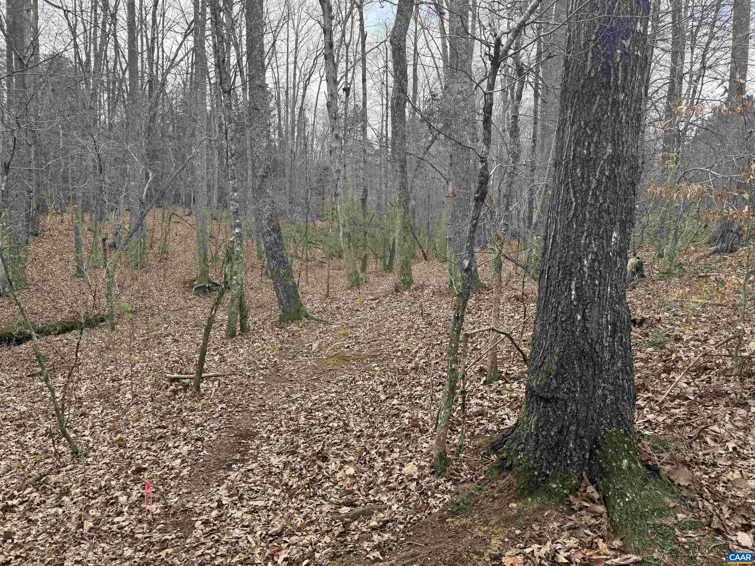 C2 HARDWARE RD, ARVONIA, Virginia 23004, ,Land,C2 HARDWARE RD,678791 MLS # 678791