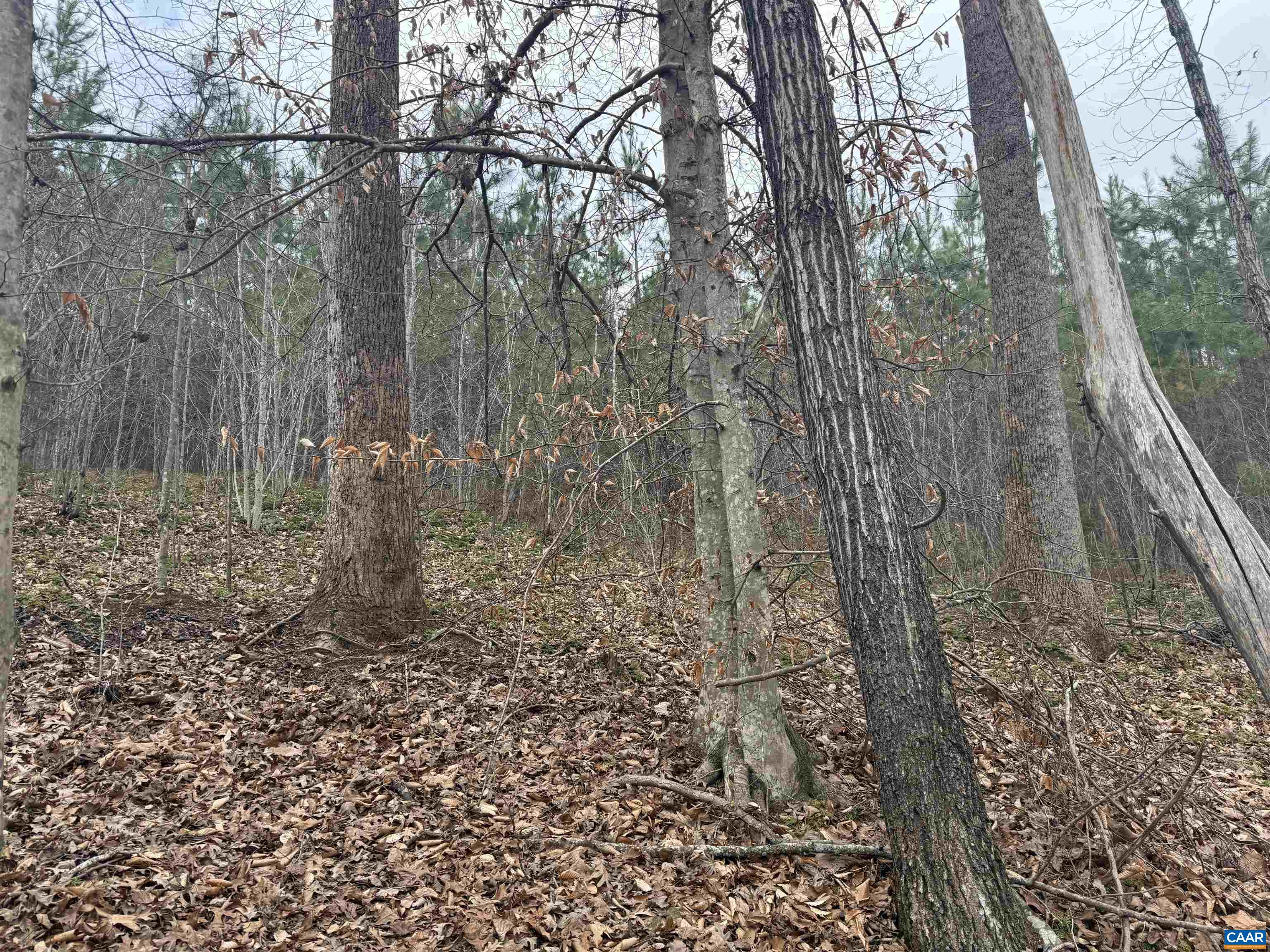 C2 HARDWARE RD, ARVONIA, Virginia 23004, ,Land,C2 HARDWARE RD,678791 MLS # 678791