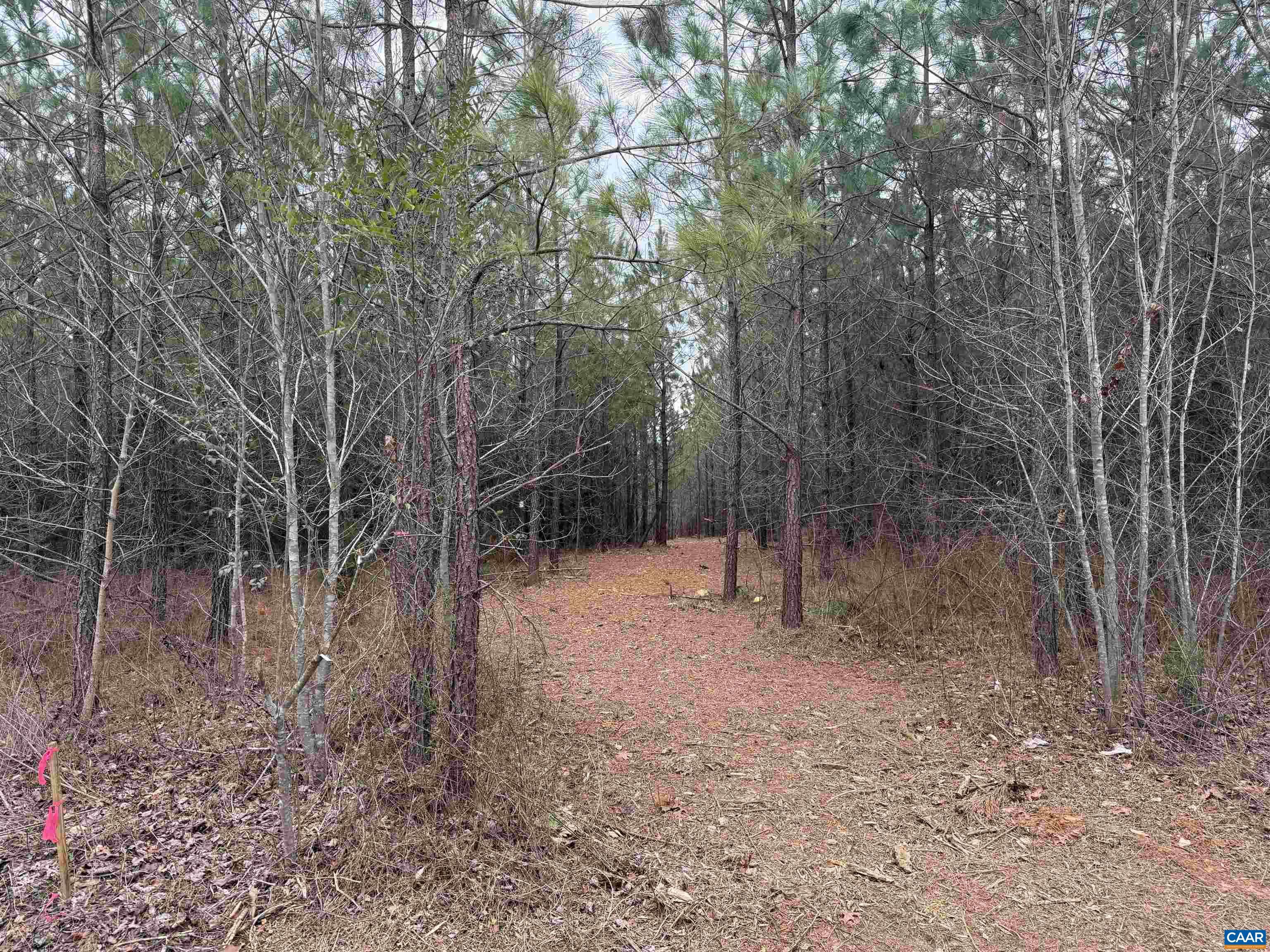 C2 HARDWARE RD, ARVONIA, Virginia 23004, ,Land,C2 HARDWARE RD,678791 MLS # 678791