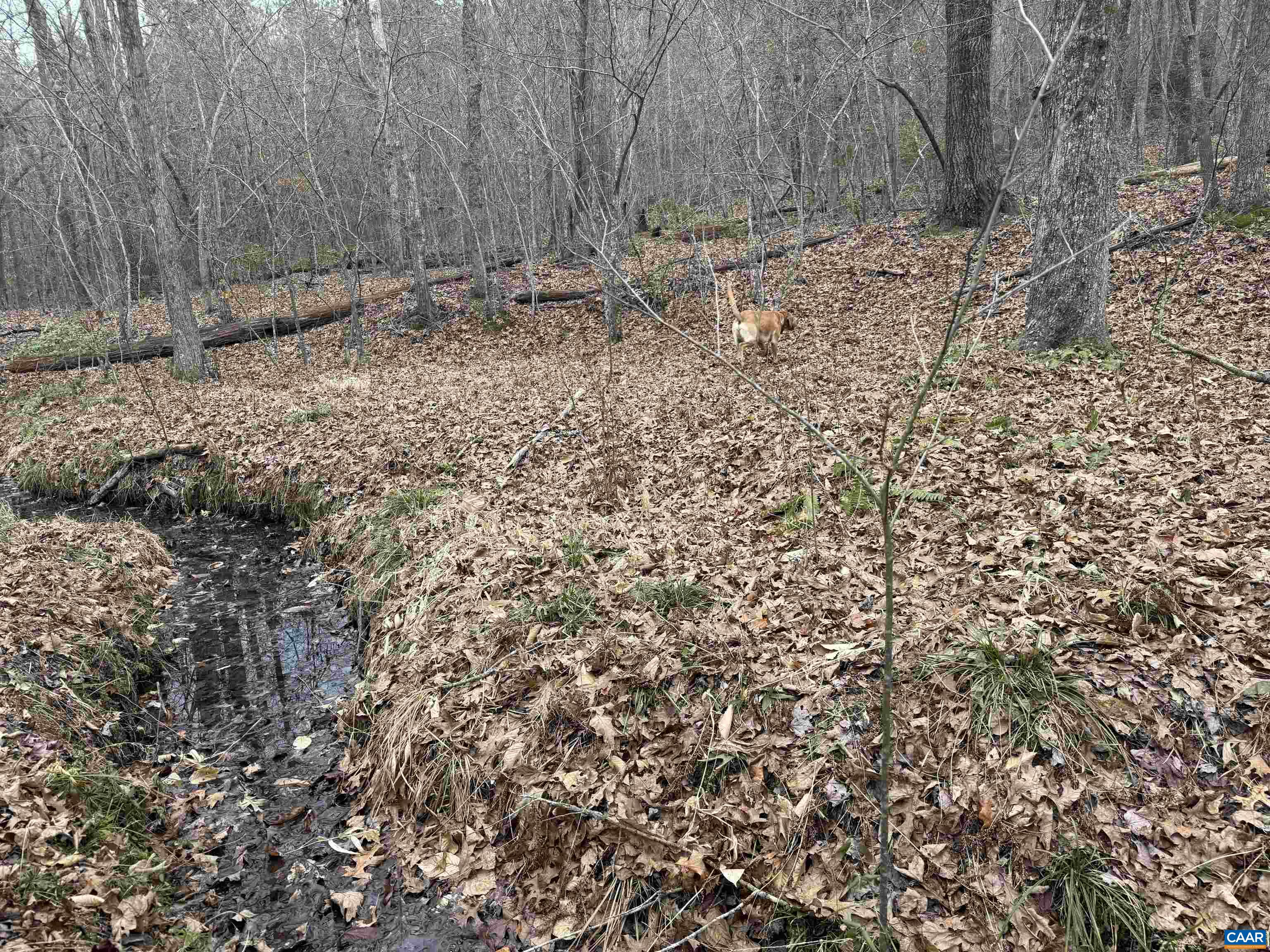 C2 HARDWARE RD, ARVONIA, Virginia 23004, ,Land,C2 HARDWARE RD,678791 MLS # 678791