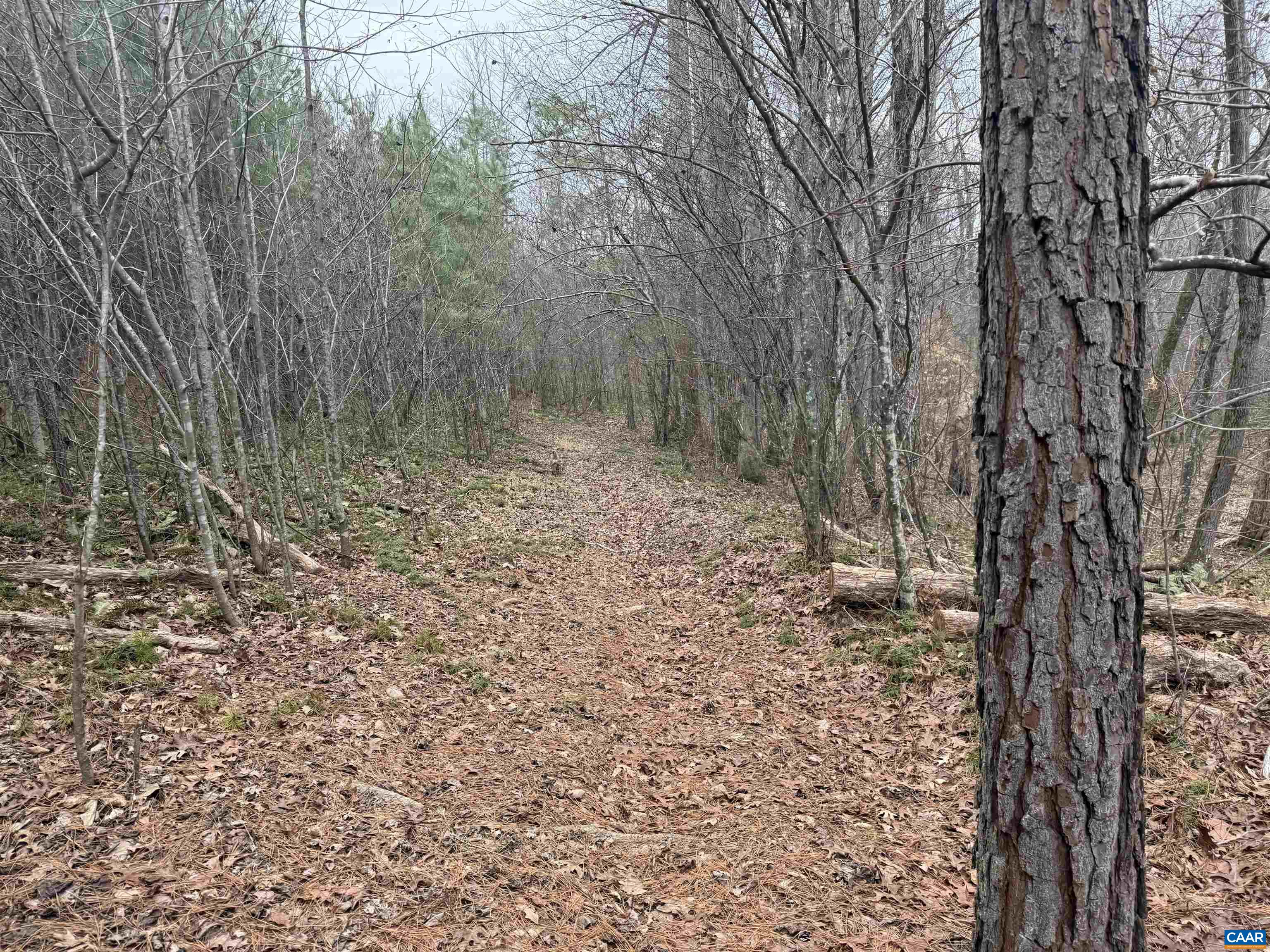 C2 HARDWARE RD, ARVONIA, Virginia 23004, ,Land,C2 HARDWARE RD,678791 MLS # 678791