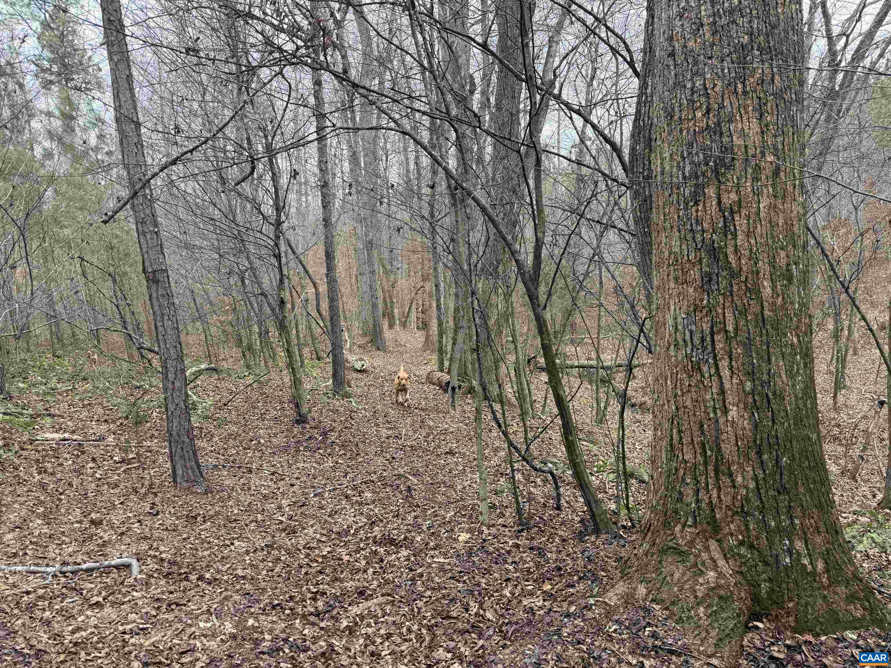 TBD 1 HARDWARE RD, ARVONIA, Virginia 23004, ,Land,TBD 1 HARDWARE RD,678794 MLS # 678794