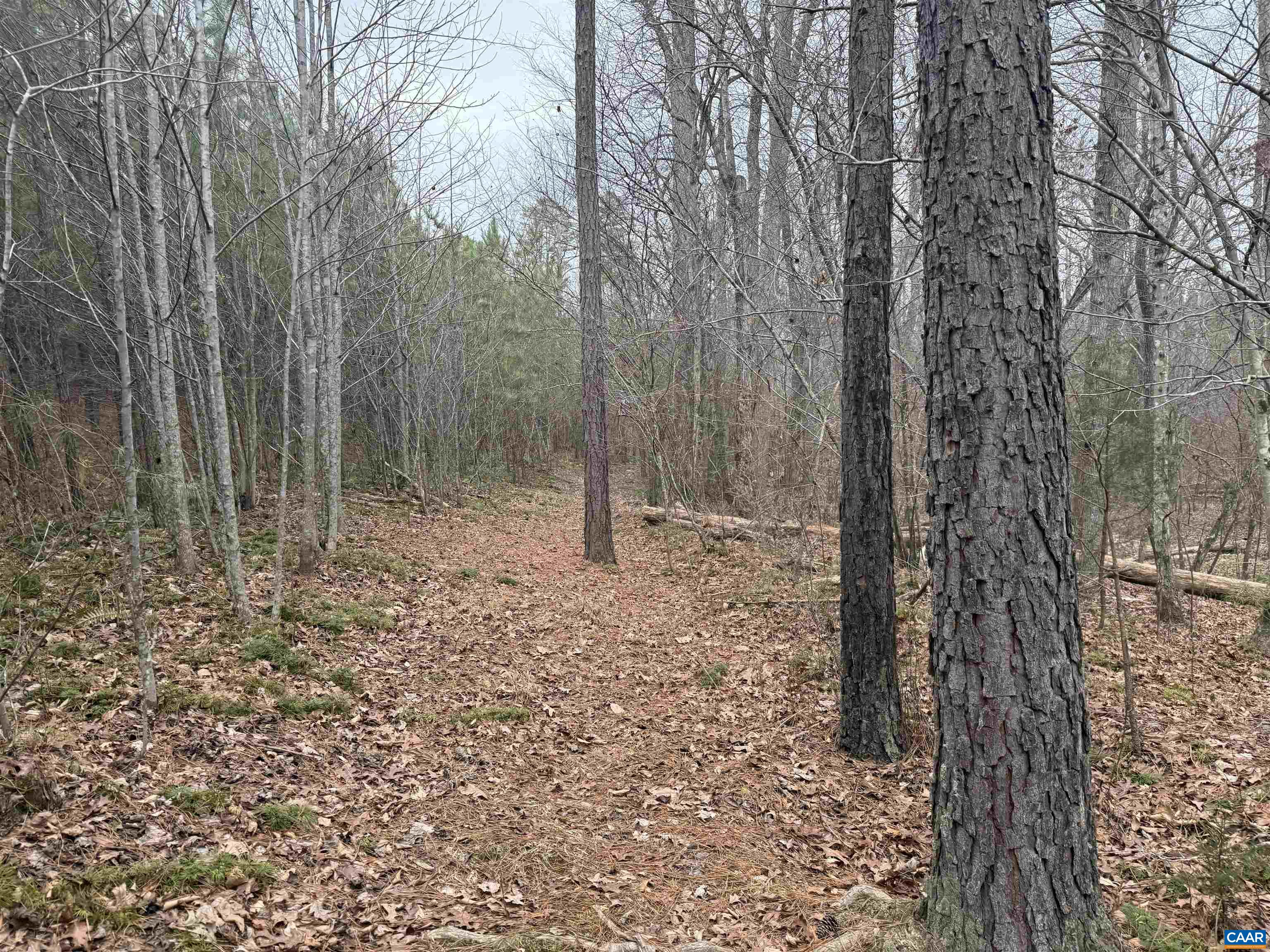 TBD 2 HARDWARE RD, ARVONIA, Virginia 23004, ,Land,TBD 2 HARDWARE RD,678796 MLS # 678796