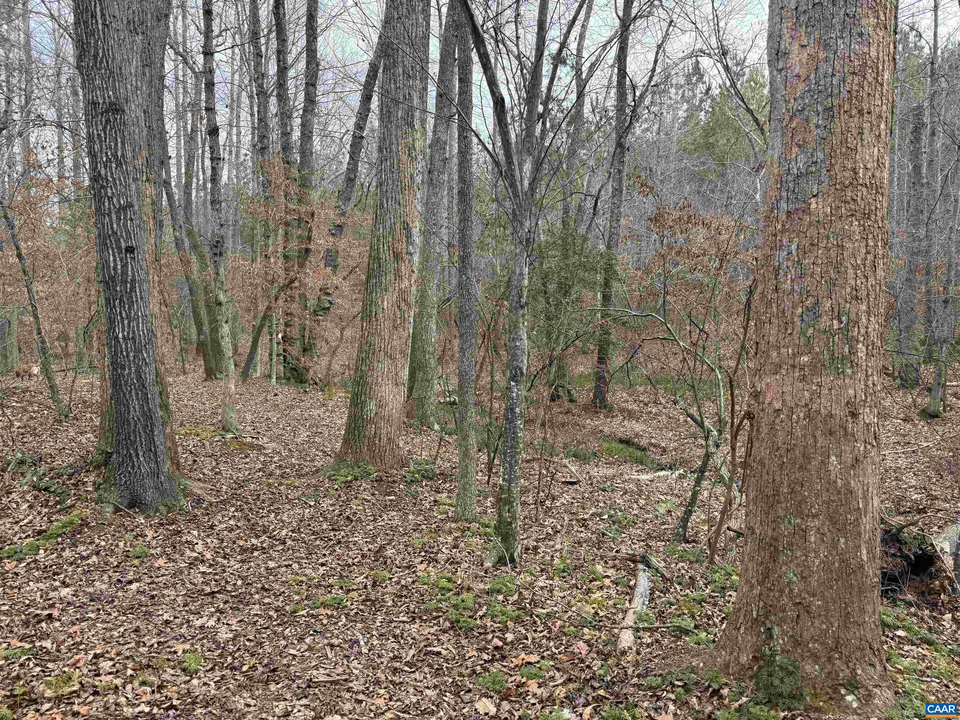 TBD 2 HARDWARE RD, ARVONIA, Virginia 23004, ,Land,TBD 2 HARDWARE RD,678796 MLS # 678796