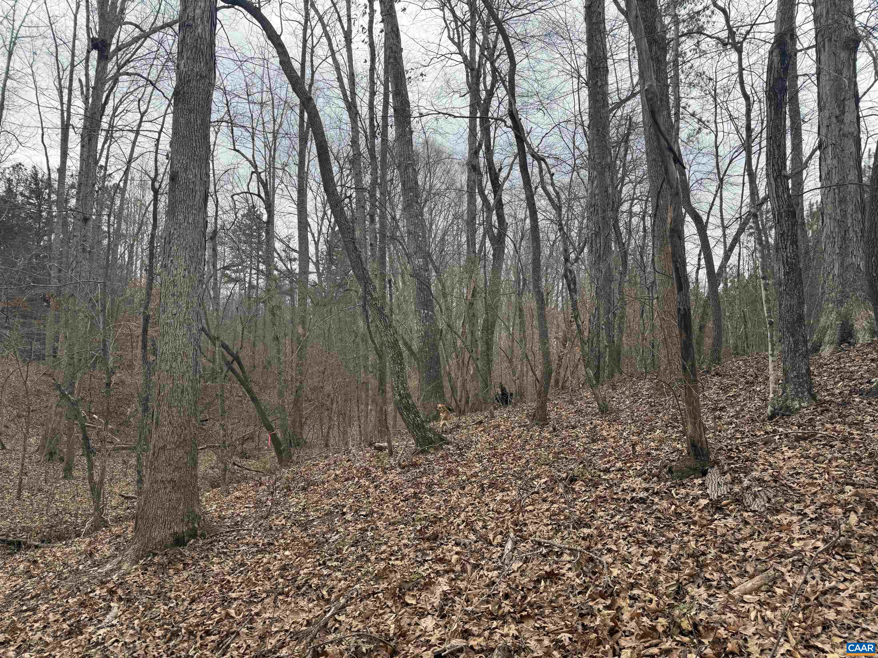 TBD 2 HARDWARE RD, ARVONIA, Virginia 23004, ,Land,TBD 2 HARDWARE RD,678796 MLS # 678796
