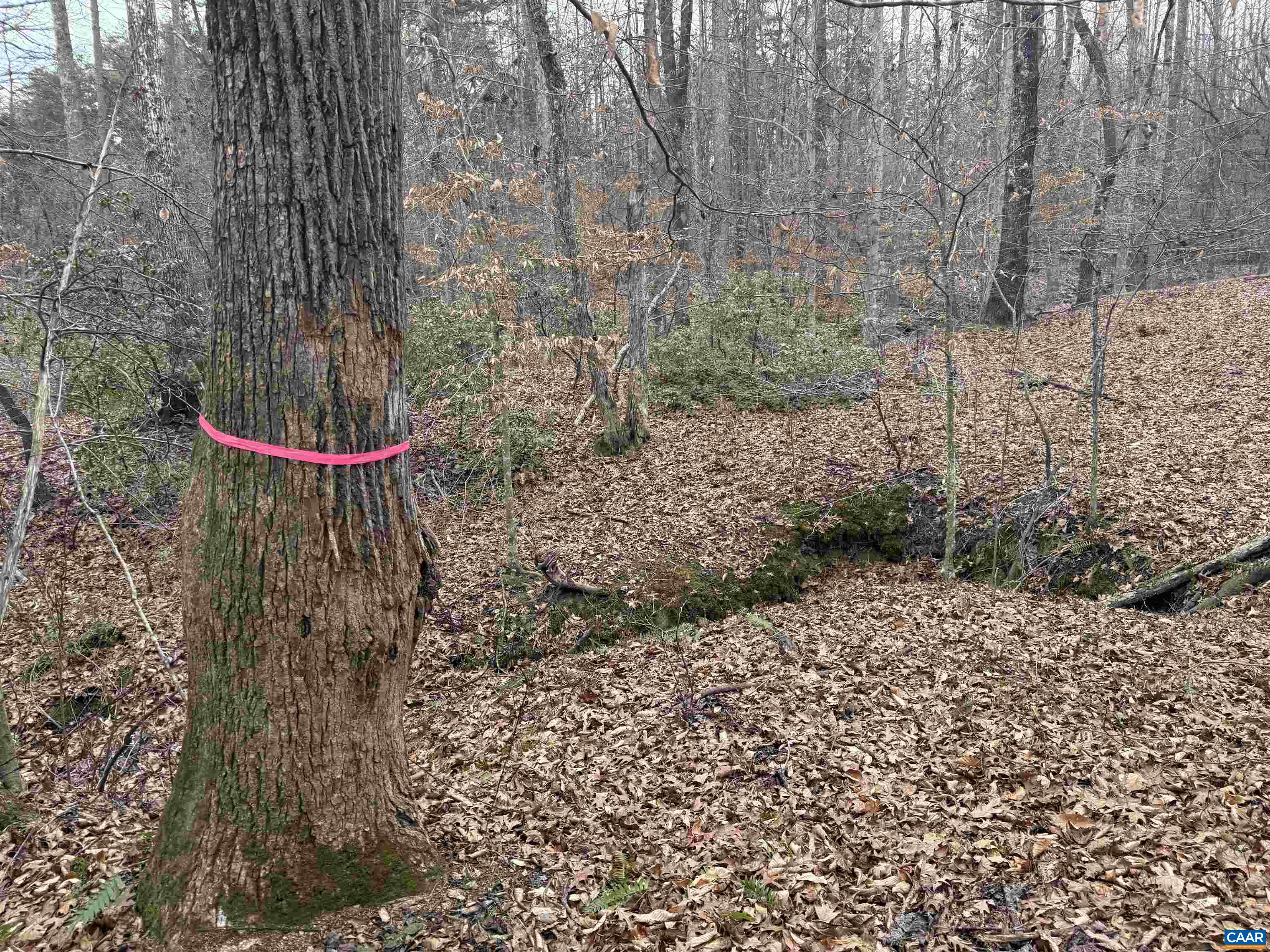 TBD 2 HARDWARE RD, ARVONIA, Virginia 23004, ,Land,TBD 2 HARDWARE RD,678796 MLS # 678796