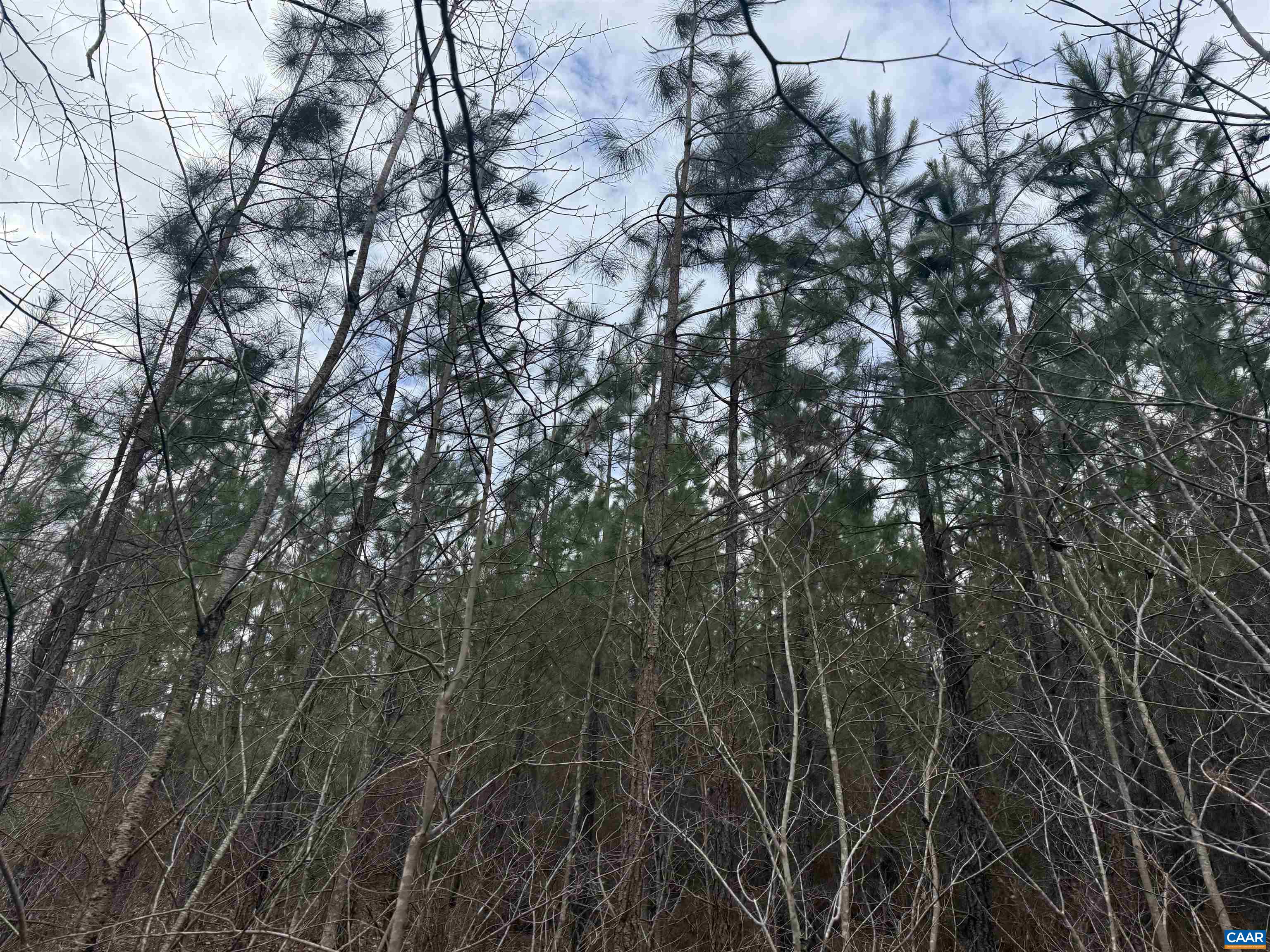 TBD 2 HARDWARE RD, ARVONIA, Virginia 23004, ,Land,TBD 2 HARDWARE RD,678796 MLS # 678796