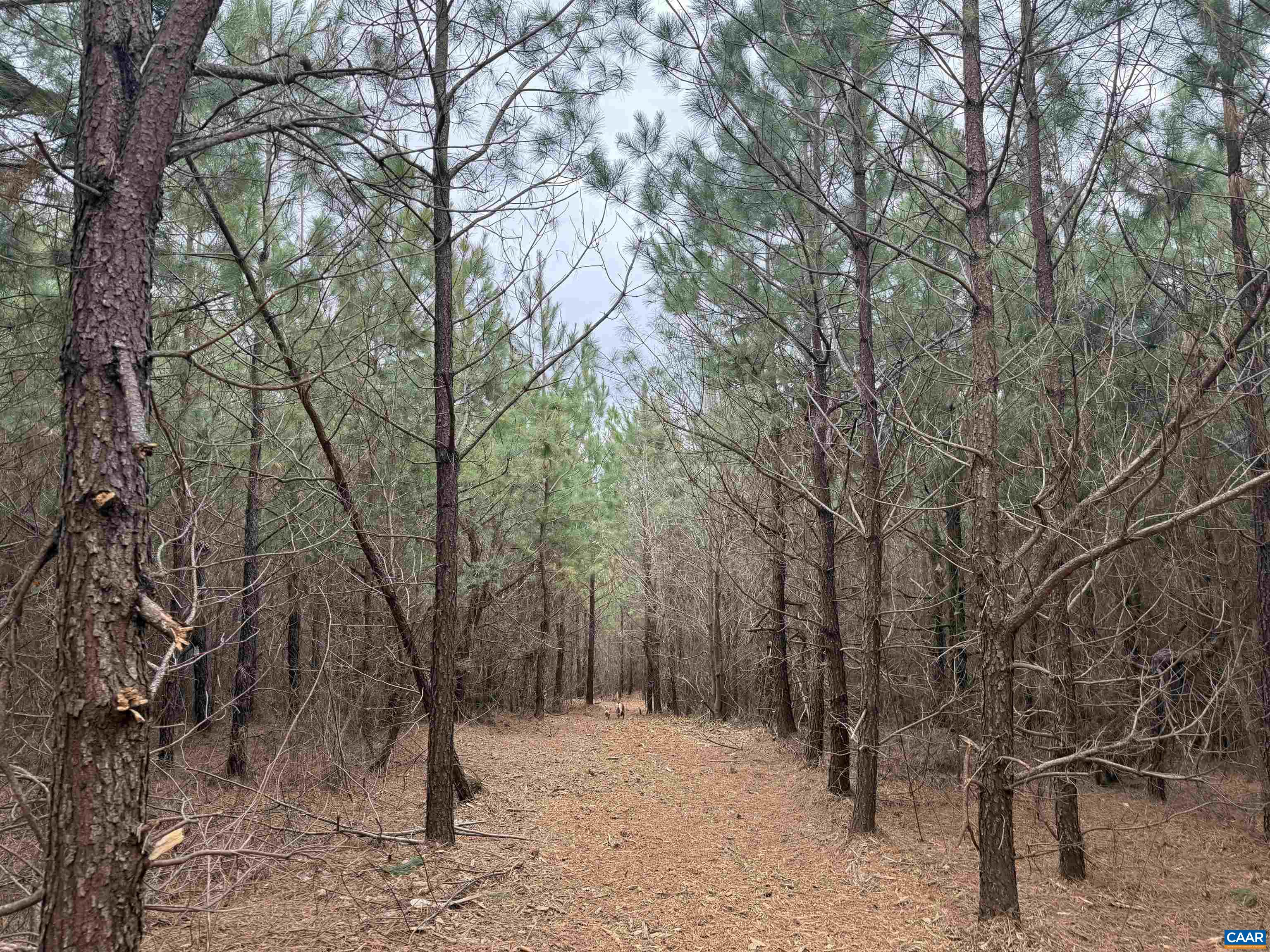 TBD 2 HARDWARE RD, ARVONIA, Virginia 23004, ,Land,TBD 2 HARDWARE RD,678796 MLS # 678796