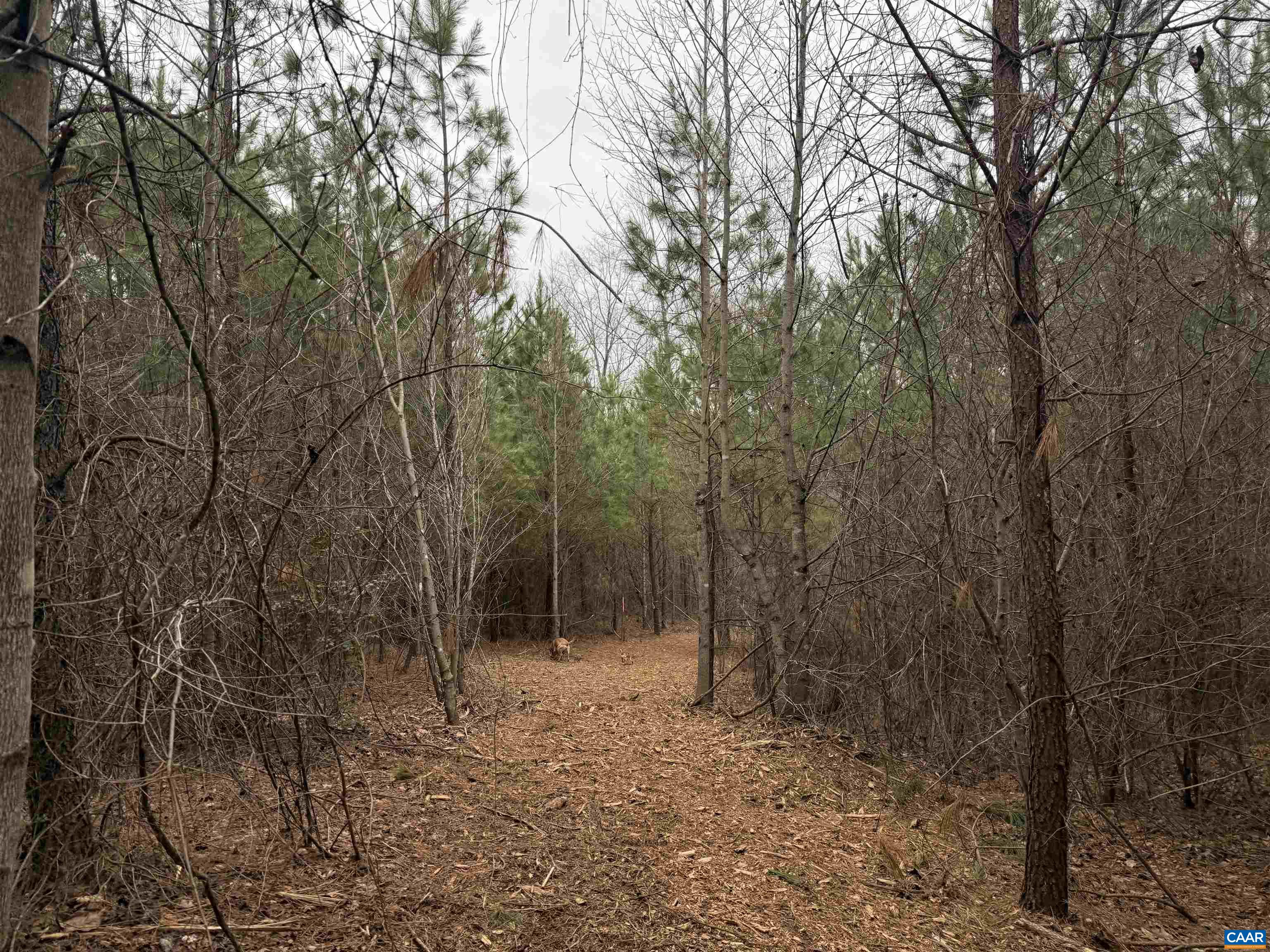 TBD 2 HARDWARE RD, ARVONIA, Virginia 23004, ,Land,TBD 2 HARDWARE RD,678796 MLS # 678796