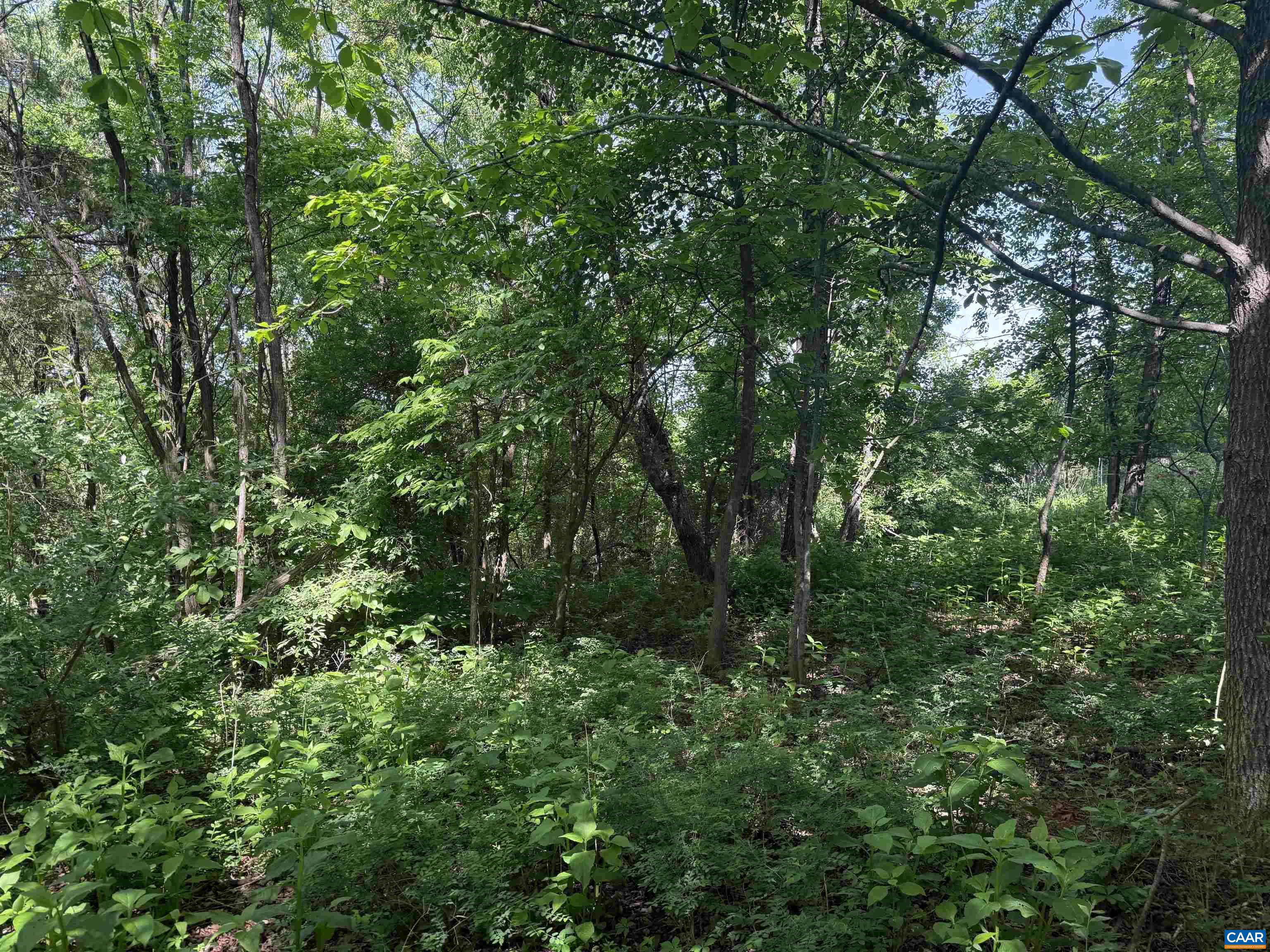 TBD 1a EAGLES NEST DR, GOODVIEW, Virginia 24095, ,Land,TBD 1a EAGLES NEST DR,678798 MLS # 678798