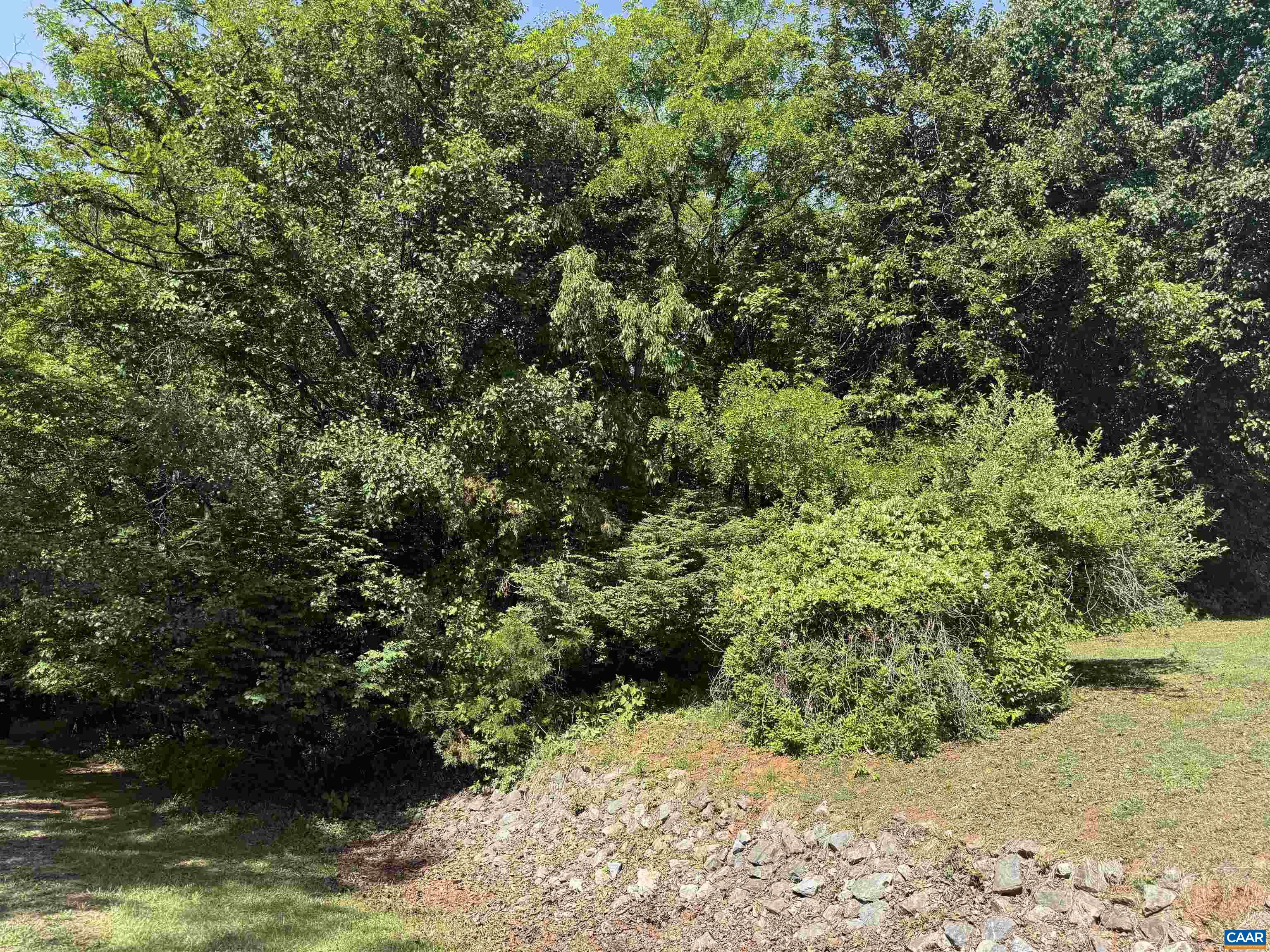 TBD 1a EAGLES NEST DR, GOODVIEW, Virginia 24095, ,Land,TBD 1a EAGLES NEST DR,678798 MLS # 678798
