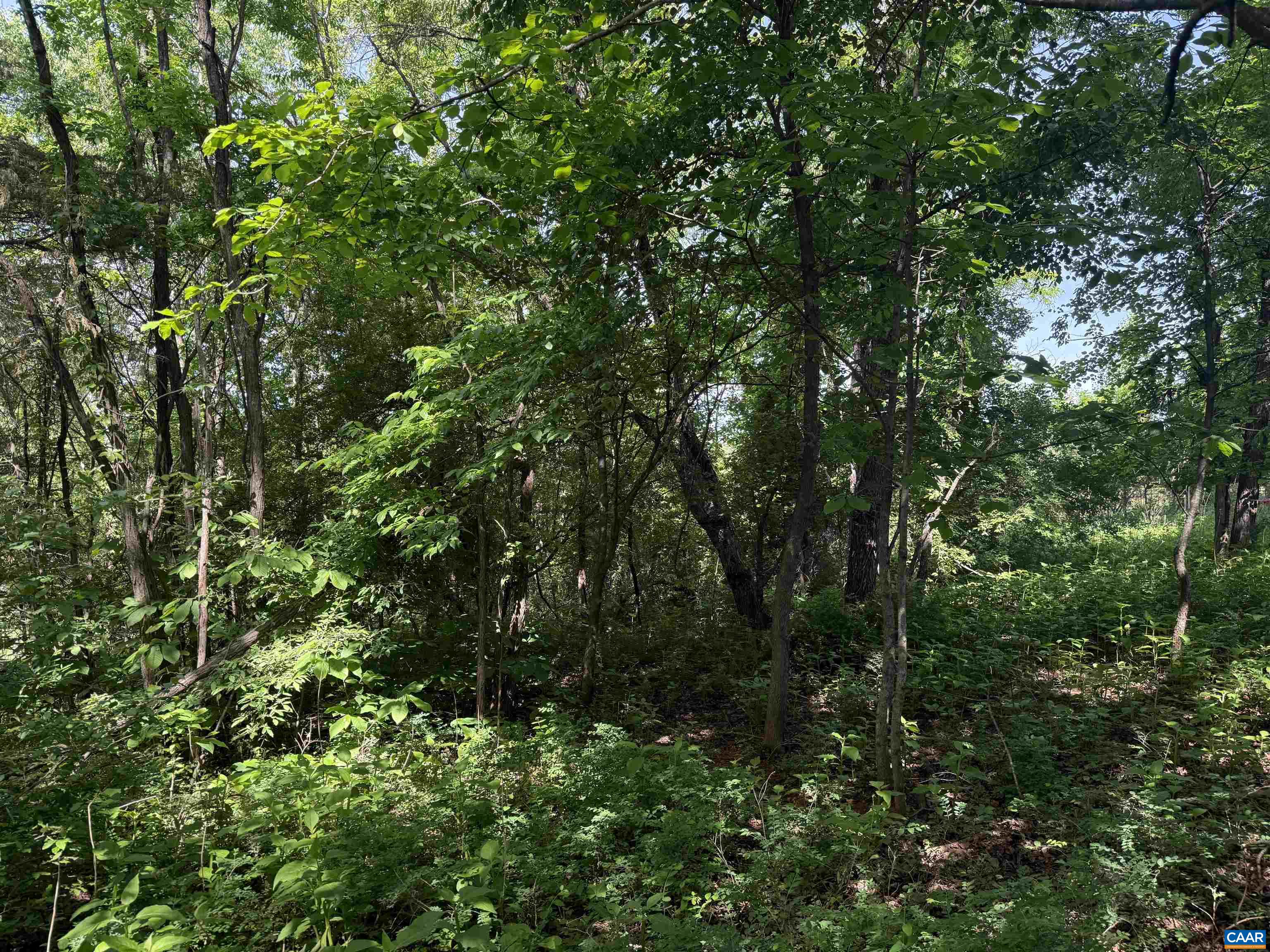 TBD 1a EAGLES NEST DR, GOODVIEW, Virginia 24095, ,Land,TBD 1a EAGLES NEST DR,678798 MLS # 678798