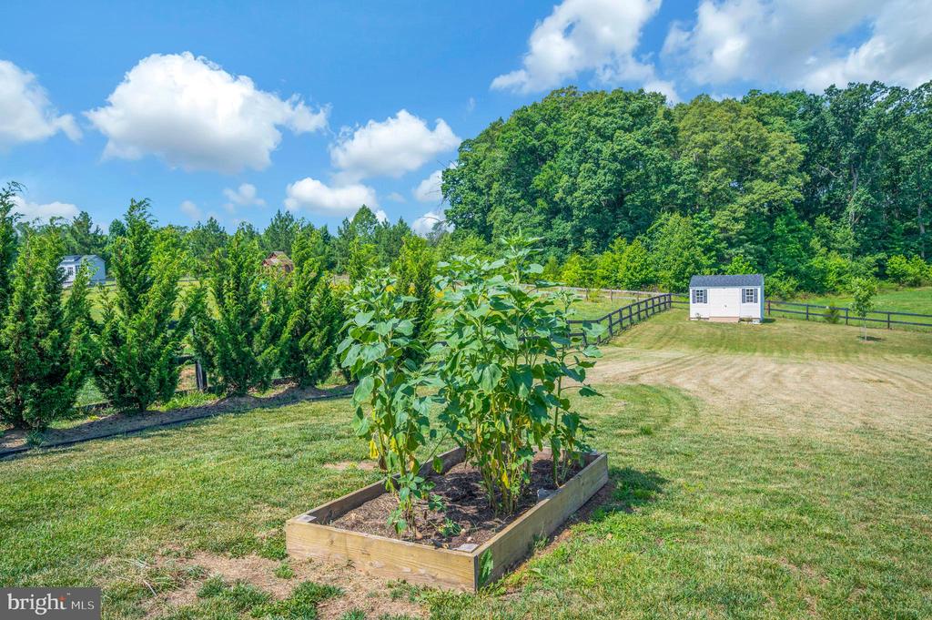 7918 CONTINENTAL CT, FREDERICKSBURG, Virginia 22407, 5 Bedrooms Bedrooms, ,3 BathroomsBathrooms,Residential,7918 CONTINENTAL CT,VASP2043146 MLS # VASP2043146