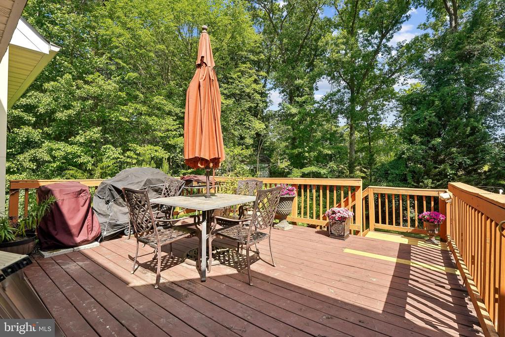 6919 GOVERNORS GRANT LN, FREDERICKSBURG, Virginia 22407, 4 Bedrooms Bedrooms, ,3 BathroomsBathrooms,Residential,6919 GOVERNORS GRANT LN,VASP2043180 MLS # VASP2043180