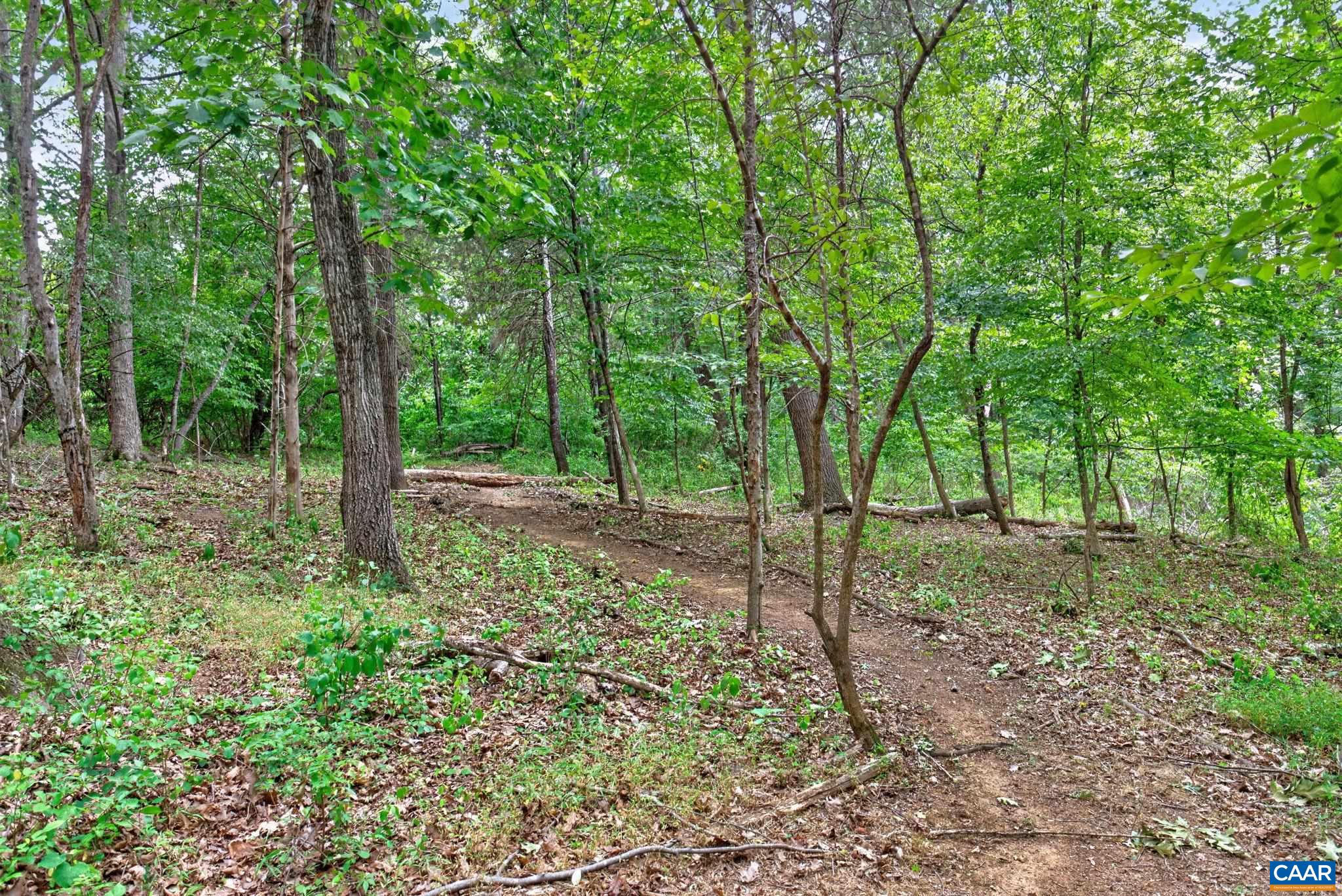 6285 JARMANS GAP RD, CROZET, Virginia 22932, 4 Bedrooms Bedrooms, ,3 BathroomsBathrooms,Residential,6285 JARMANS GAP RD,678611 MLS # 678611