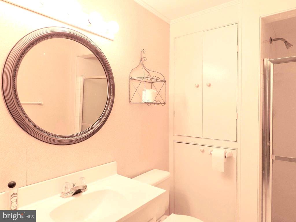419 RUDASILL MILL RD, WOODVILLE, Virginia 22749, 2 Bedrooms Bedrooms, ,3 BathroomsBathrooms,Residential,419 RUDASILL MILL RD,VARP2002540 MLS # VARP2002540